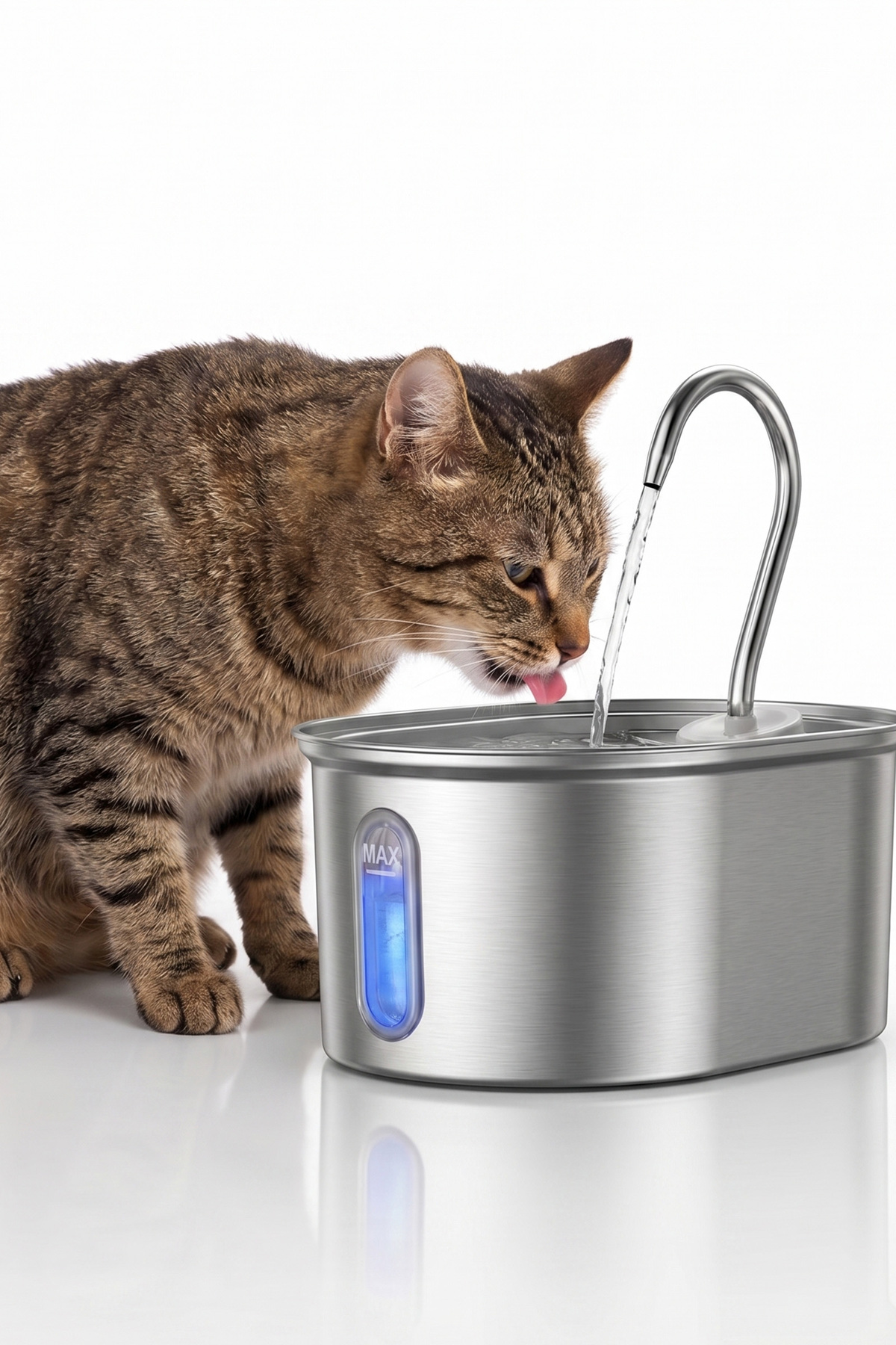 آبخوری فواره‌ای خودکار استیل بیضی‌شکل حیوانات خانگی جاستی پت justie pet مدل JPF-3-C