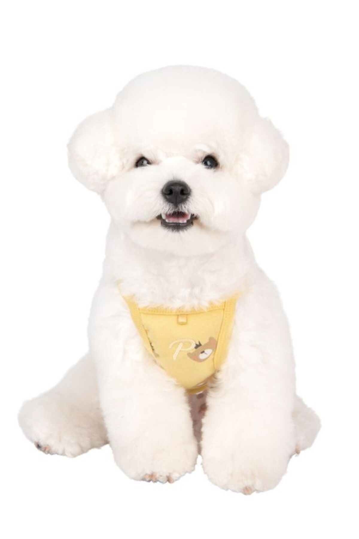 لباس سگ زرد Orsolya پاپیا Puppia