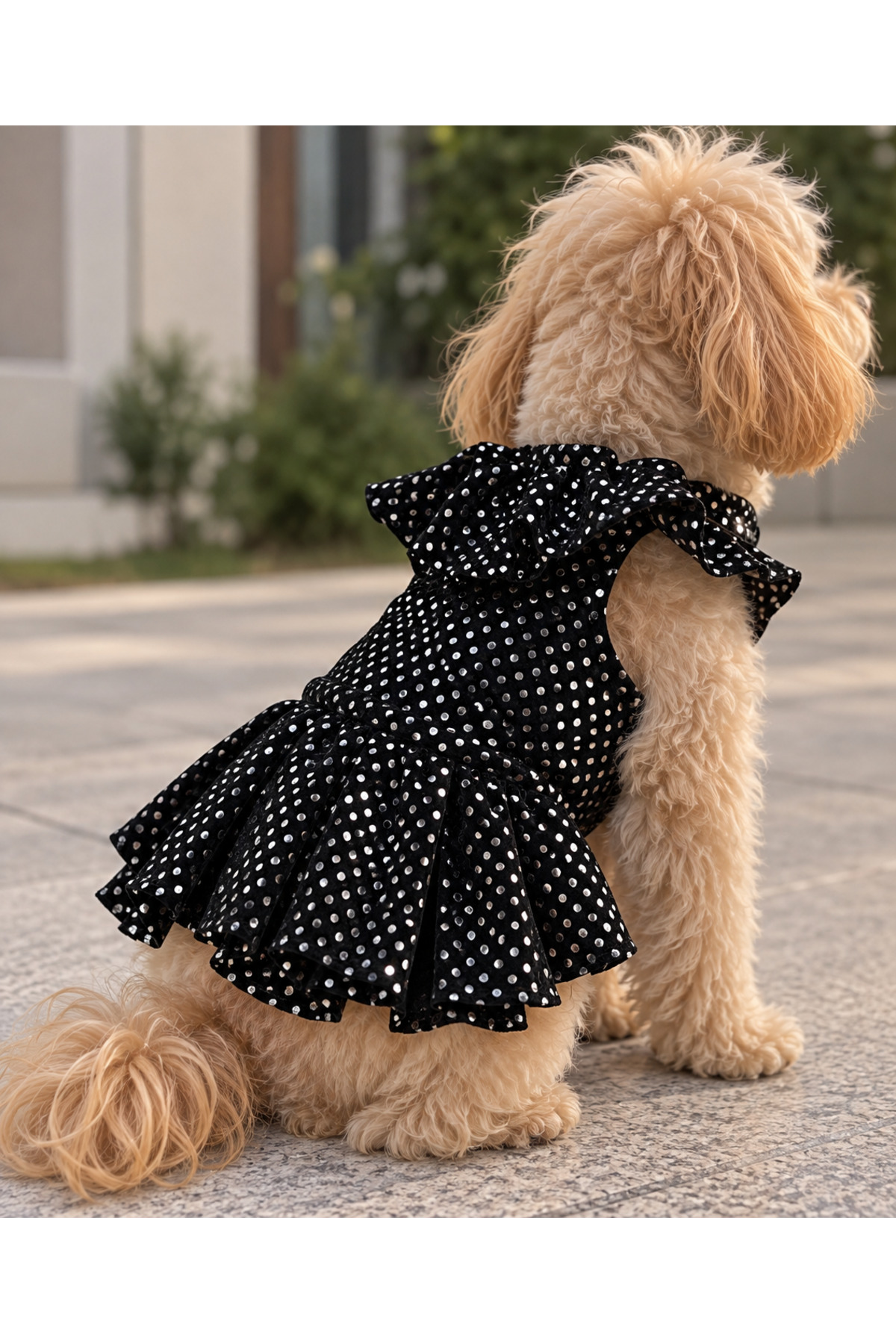 لباس سگ خال‌خالی چین‌دار ولورا پت‌شاپ Velora Pet Shop مشکی