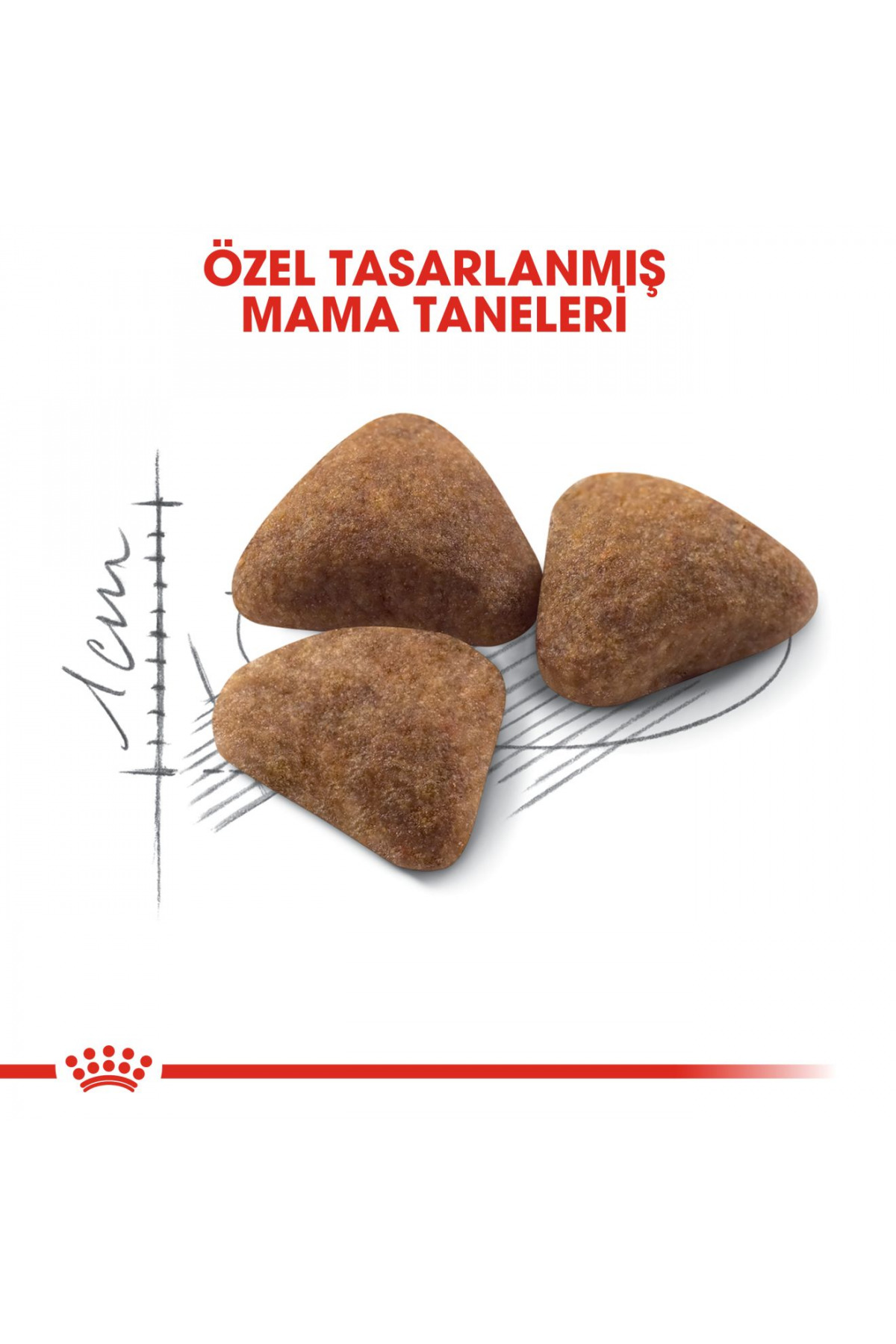 غذای خشک گربه رویال کنین Royal Canin Indoor 27، ۴۰۰ گرم