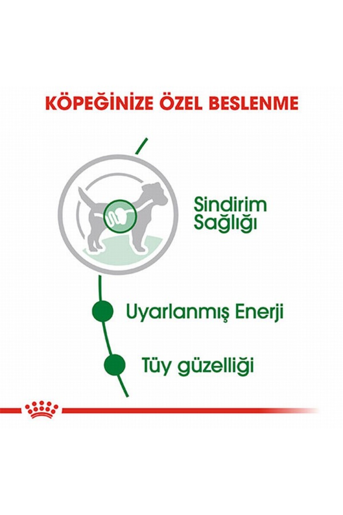 غذای مرطوب سگ رویال کنین Royal Canin Mini Adult، طعم مرغ، ۱۲ پوچ ۸۵ گرمی