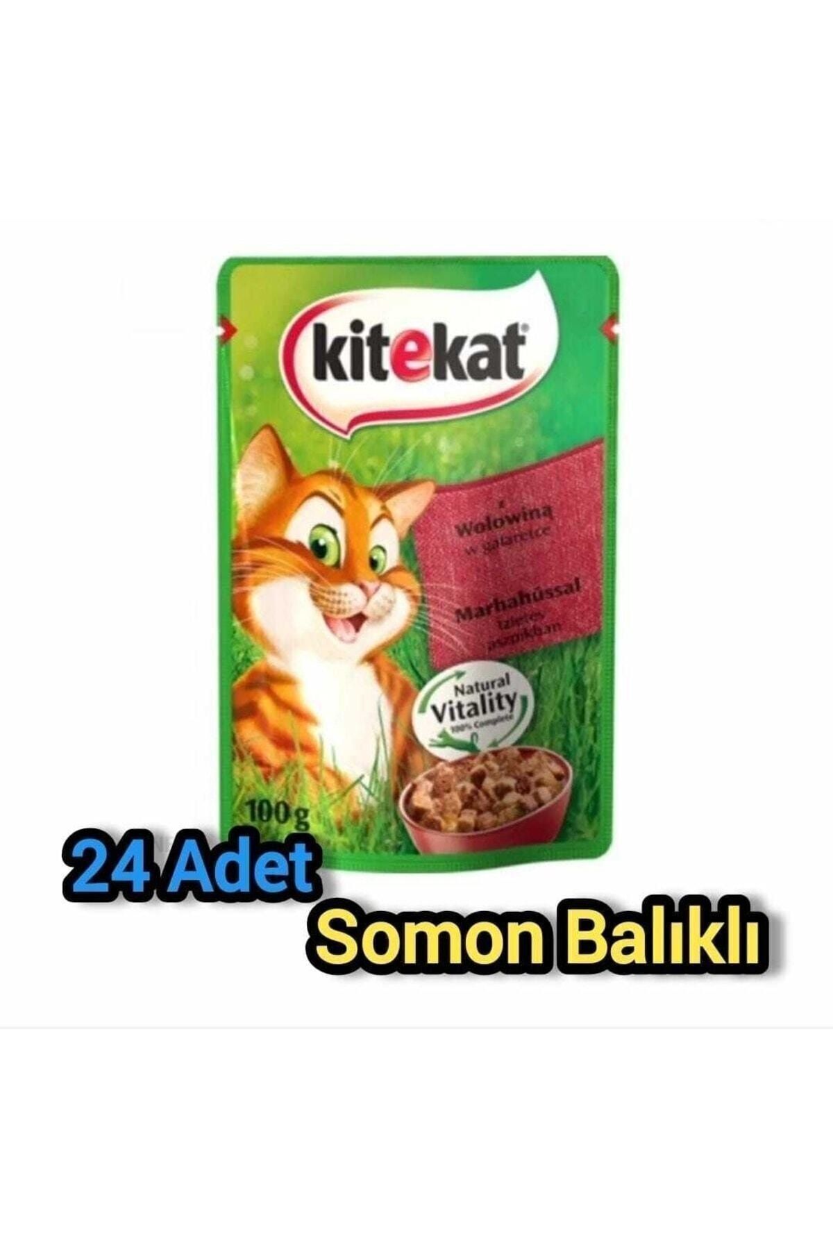 غذای مرطوب گربه کیت‌کت Kitekat با طعم ماهی سالمون، ۲۴ بسته ۸۵ گرمی