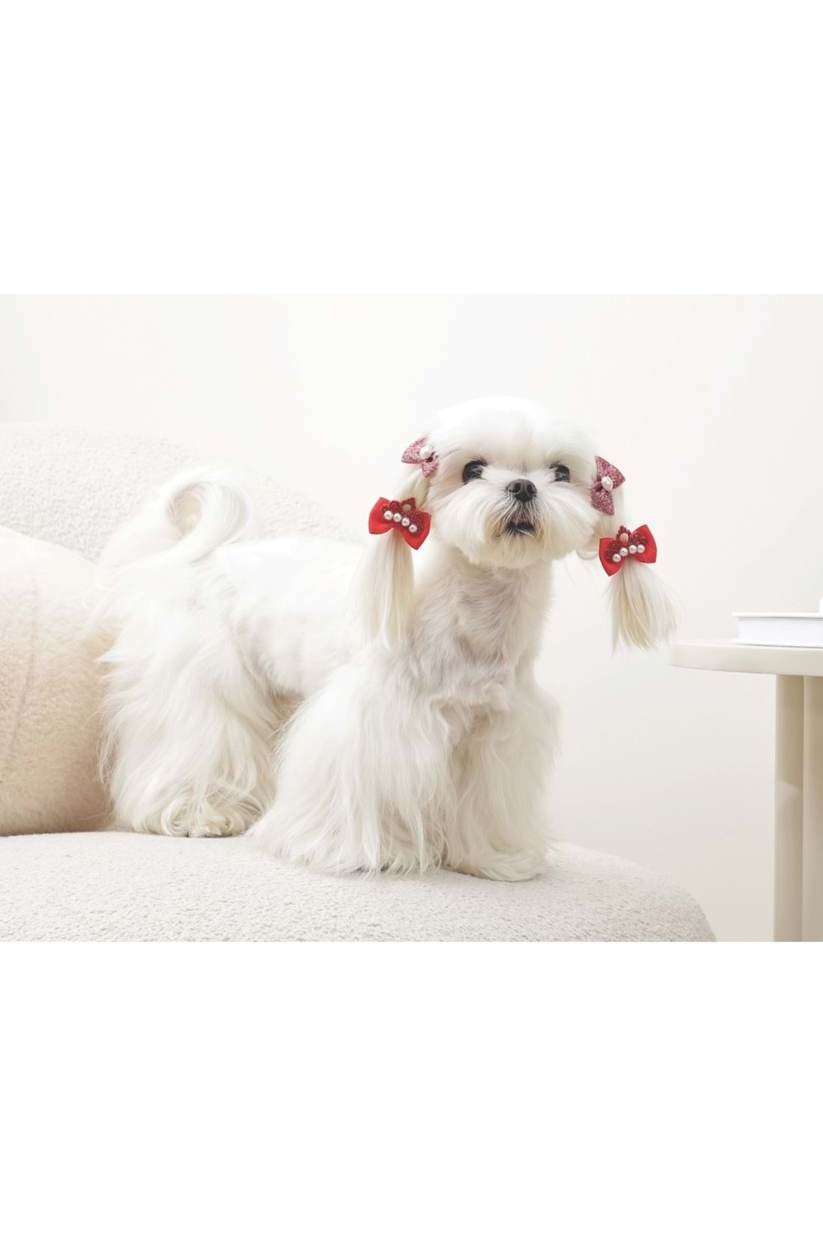 پاپیون تزئینی سگ ام‌پتس M-PETS مدل 60900599، قرمز