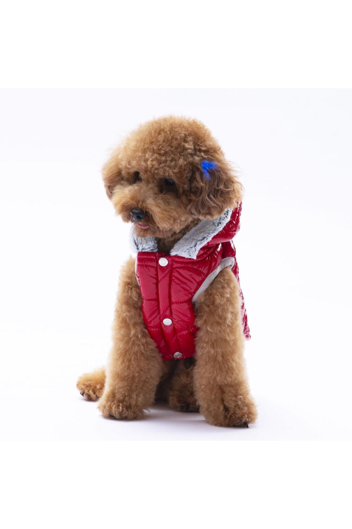 جلیقه بارانی سگ پاواستار Pawstar Light Wave Anorak مدل LW2310، قرمز