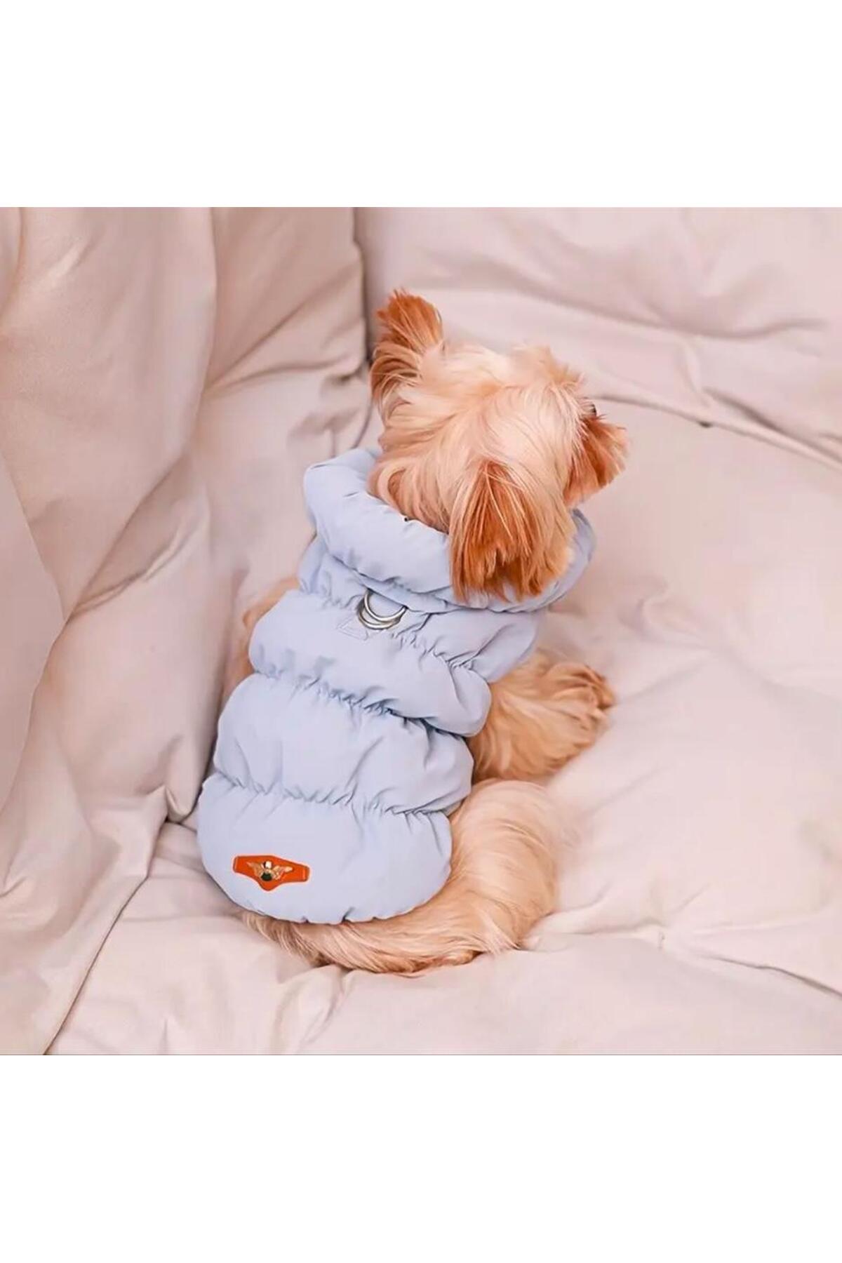 کاپشن سگ شیک‌داگ Chicdog، آبی، سایز M