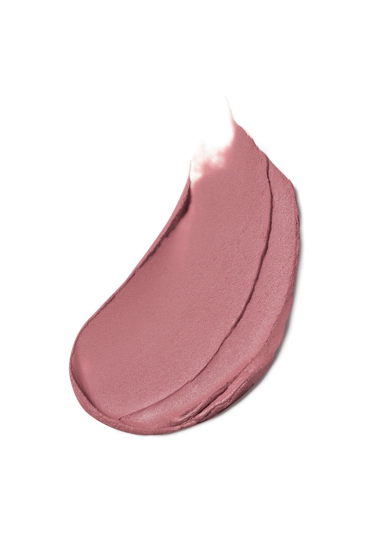Estee Lauder روج مات رنگ لب مات 3.5 گرم رنگ 816 سوت آپ
