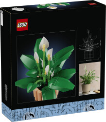 مجموعه ساختنی گل صلح لگو LEGO، سری بوتانیکالز Botanicals، مدل 11504، حداقل سن ۱۸ سال