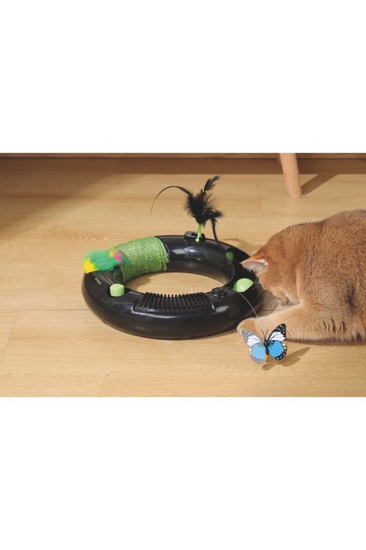 اسباب‌بازی گربه ام‌پتس M-PETS Halo Eco، مشکی