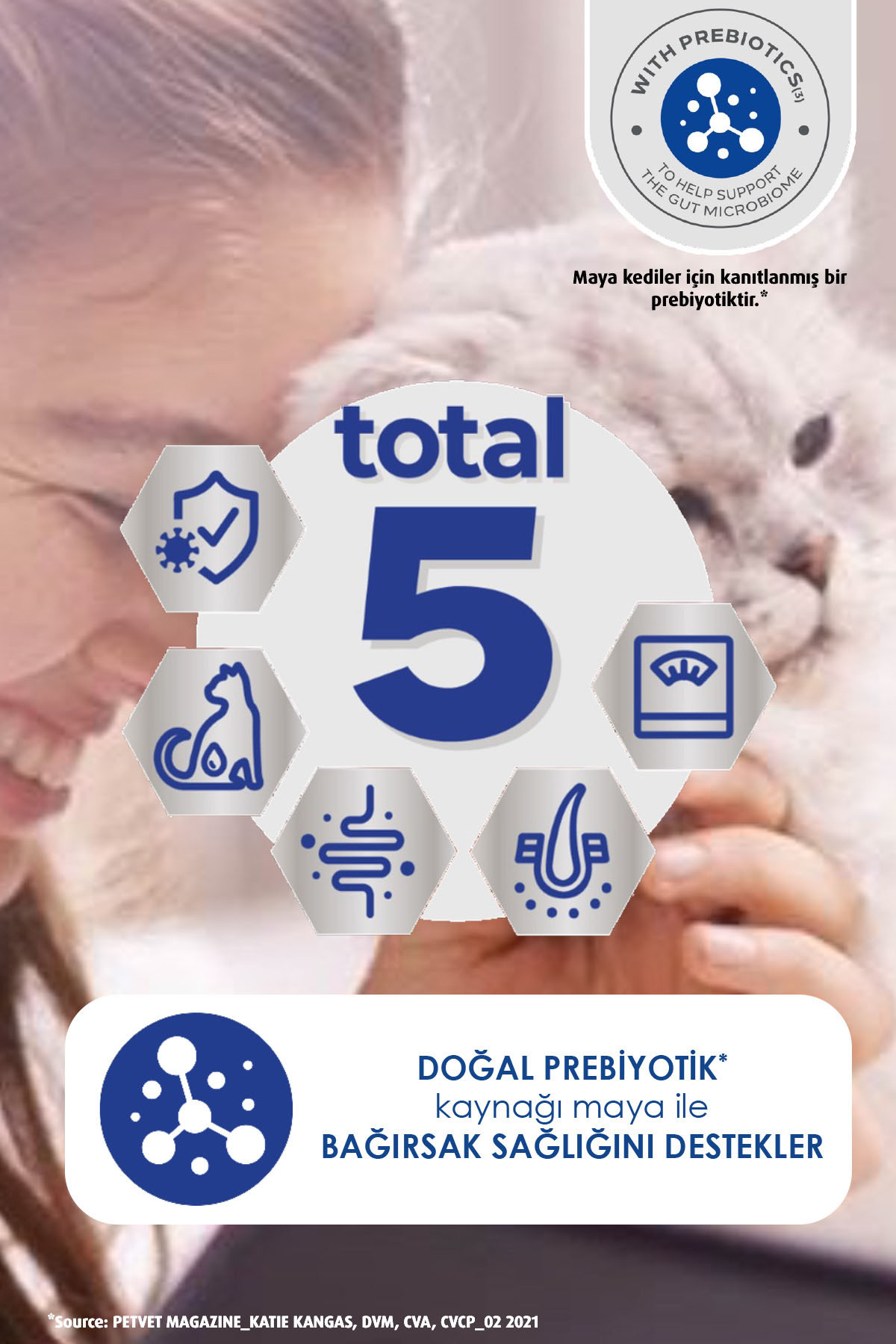 غذای خشک گربه بالغ با طعم گوشت گاو Active، ۷۵۰ گرم