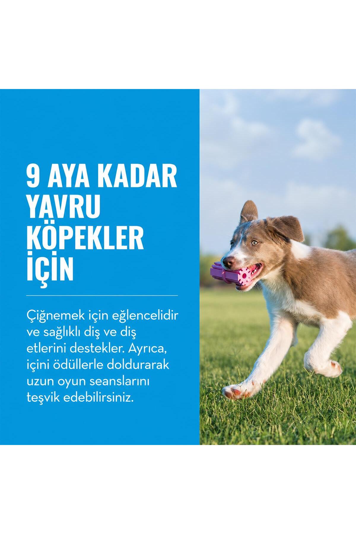 اسباب‌بازی دندان‌گیر توله‌سگ کنگ Kong Puppy Teething Stick، آبی، سایز L