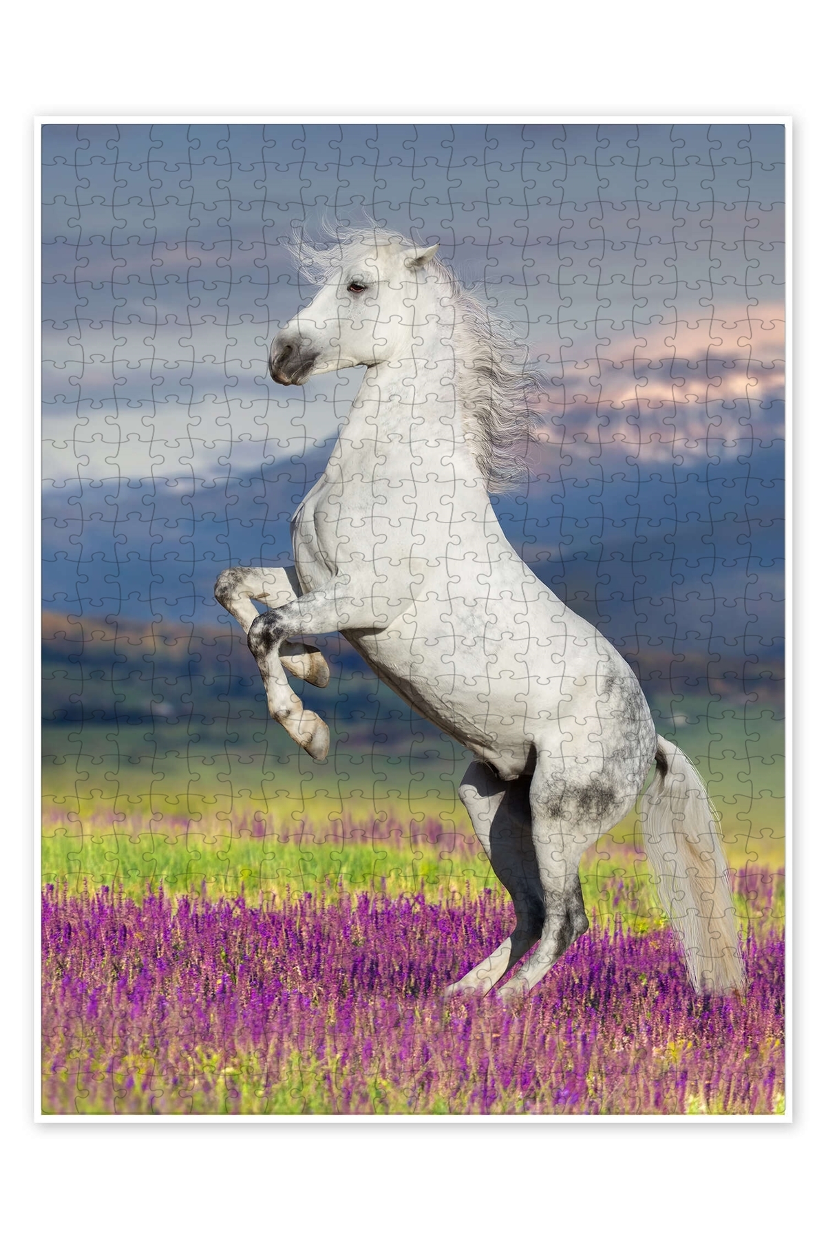 پازل LIPIZZAN 500 PIECE PUZZLE گربه سگ با موضوع طبیعت و حیوانات جنگل در علفزار گل از ترکیه Jeronkarji