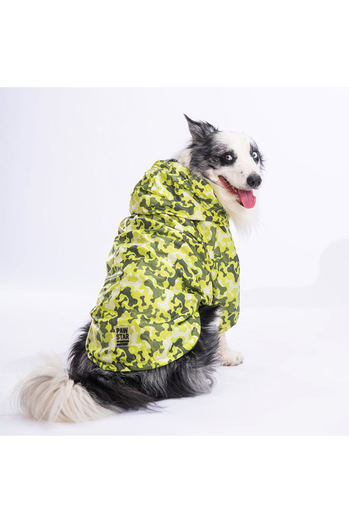 کاپشن پلار‌دار سگ پاوستار Pawstar GreenOssa مدل PM2355، سبز