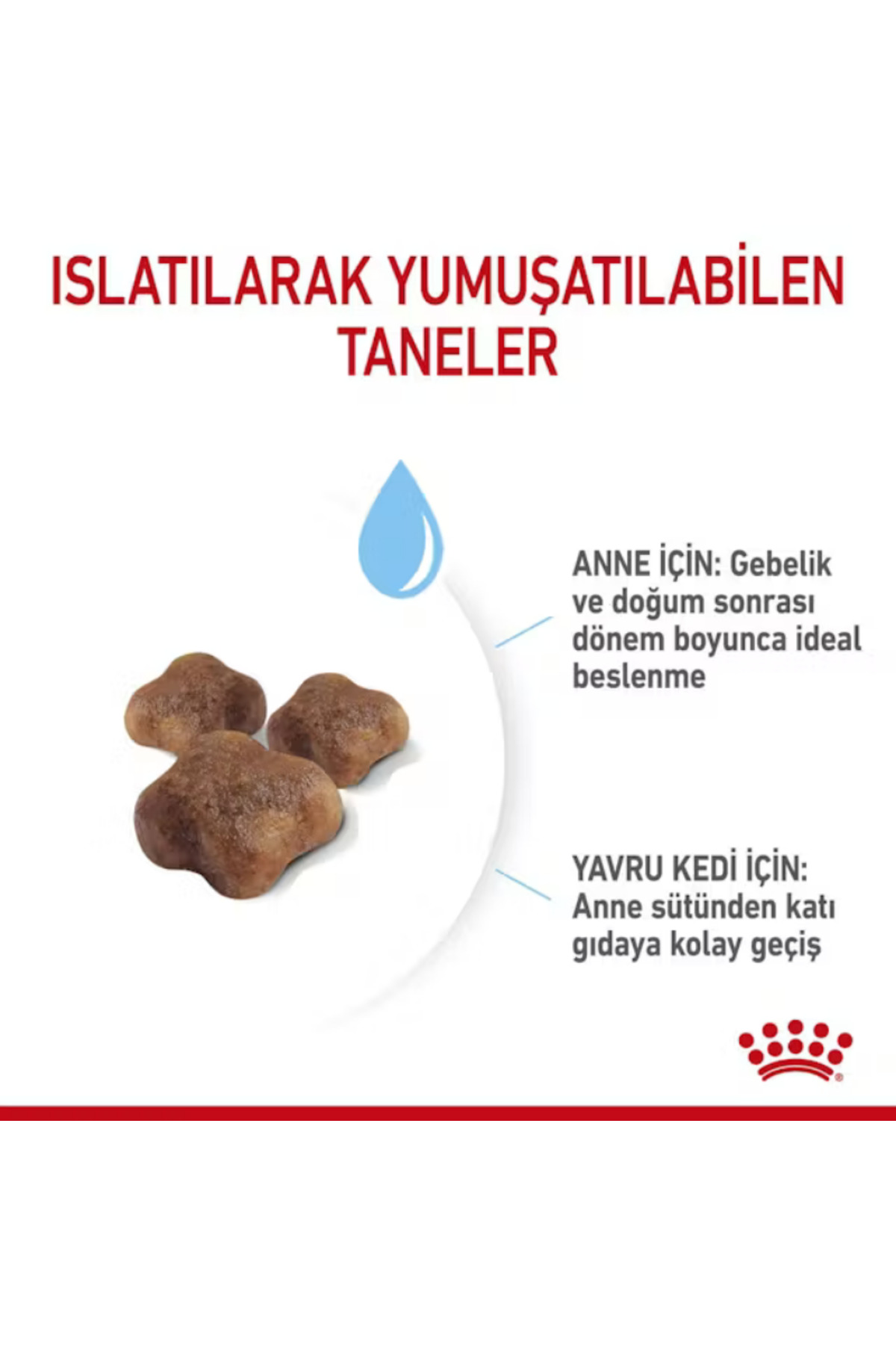 غذای خشک گربه مادر باردار و شیرده و بچه‌گربه، ۴۰۰ گرم، رویال کنین Royal Canin Mother & Babycat