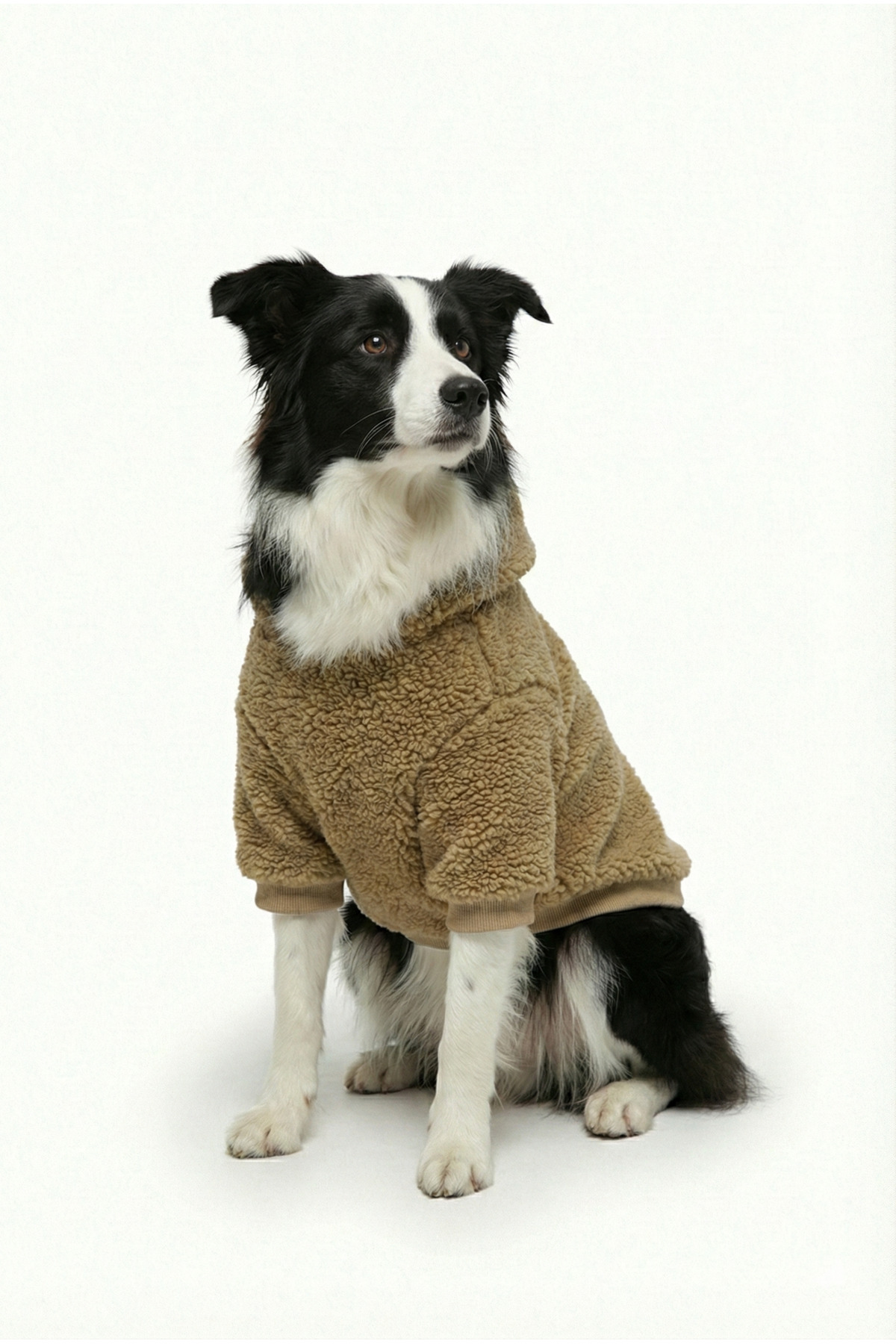 سویشرت سگ کلاه‌دار از پارچه تدی نرم، شتری/بژ، نوبل‌داگ NobleDog مدل karamelteddy