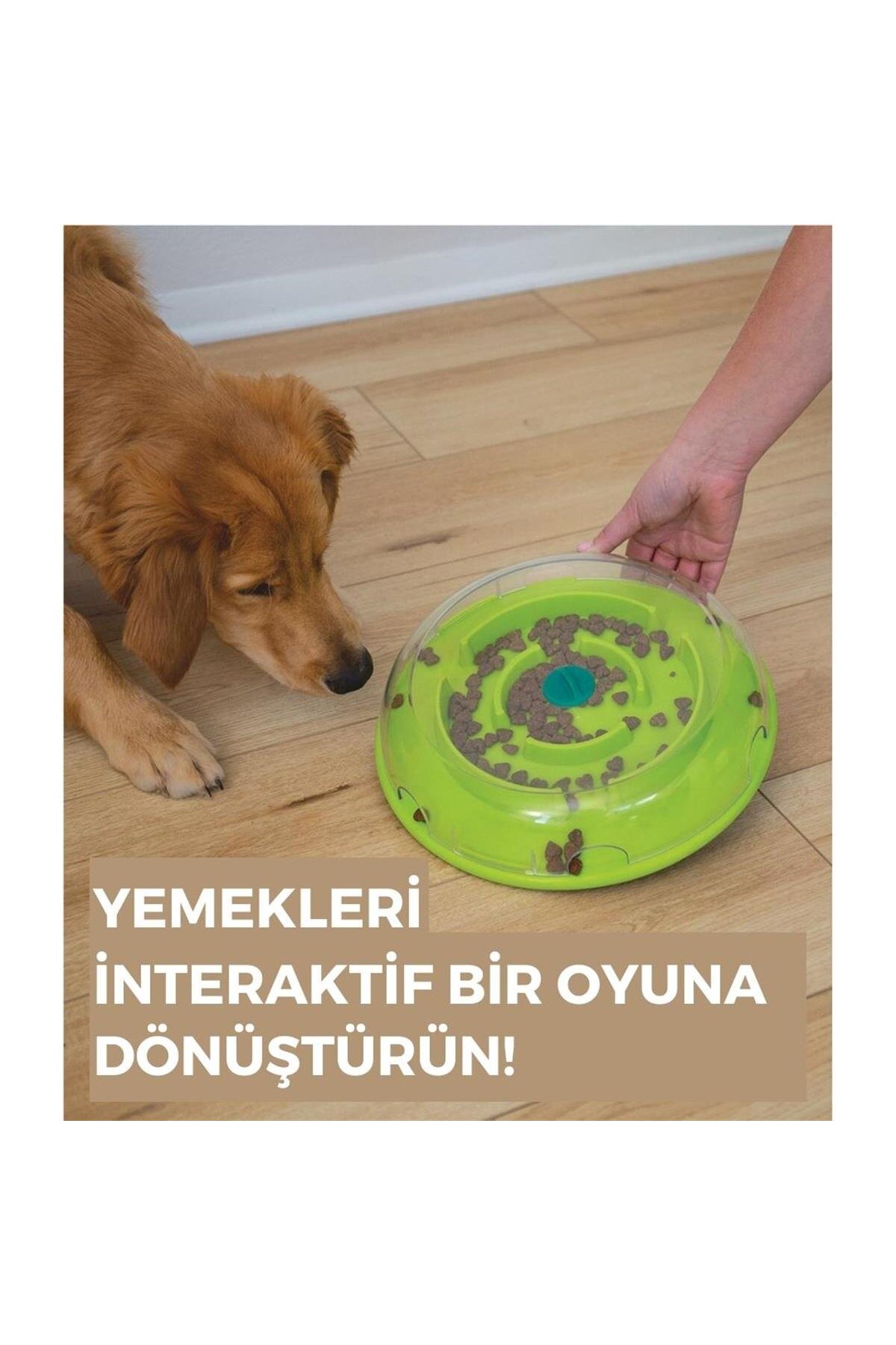 اسباب‌بازی پازلی تشویقی سگ اوت‌وارد هاوند Outward Hound Wobble Bowl، متوسط، بنفش
