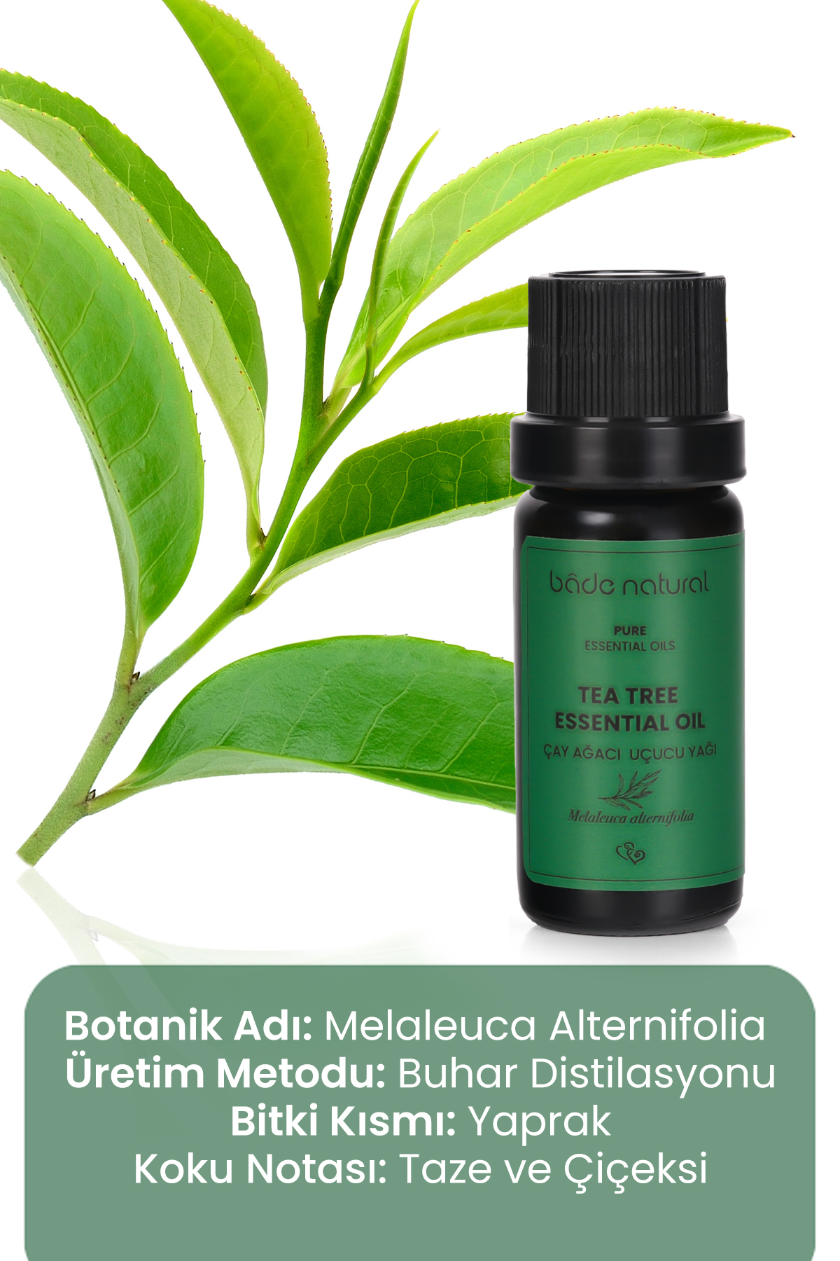 روغن مراقبتی درخت چای 100% خالص 10 میلی لیتر بادا ناتورال Bade Natural