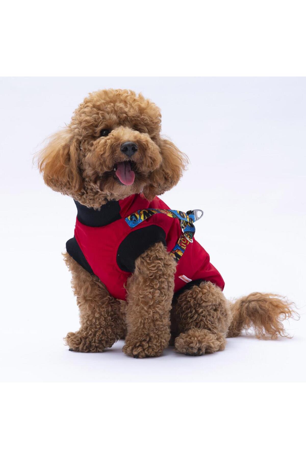 جلیقه بارانی سگ پاواستار Pawstar مدل PS24-1038، سری Nuuk، قرمز