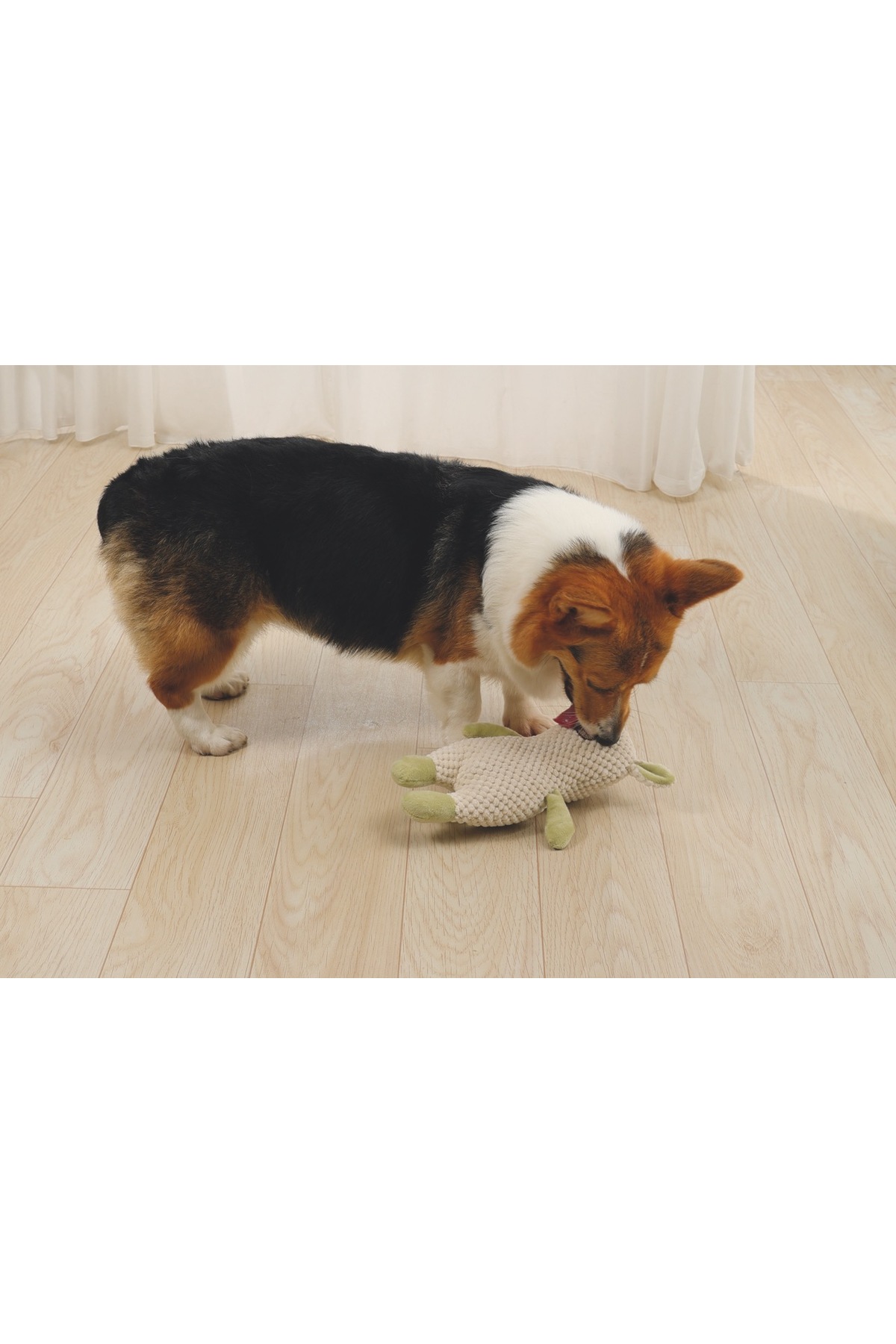 اسباب‌بازی سگ ام‌پتس M-PETS Vigo چندرنگ