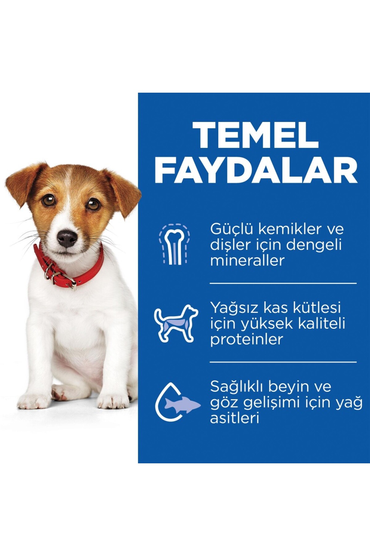 غذای خشک توله‌سگ نژاد کوچک و مینی هیلز Hill's Puppy Small & Mini با طعم بره، ۱+۵۰۰ گرم هدیه‌دار