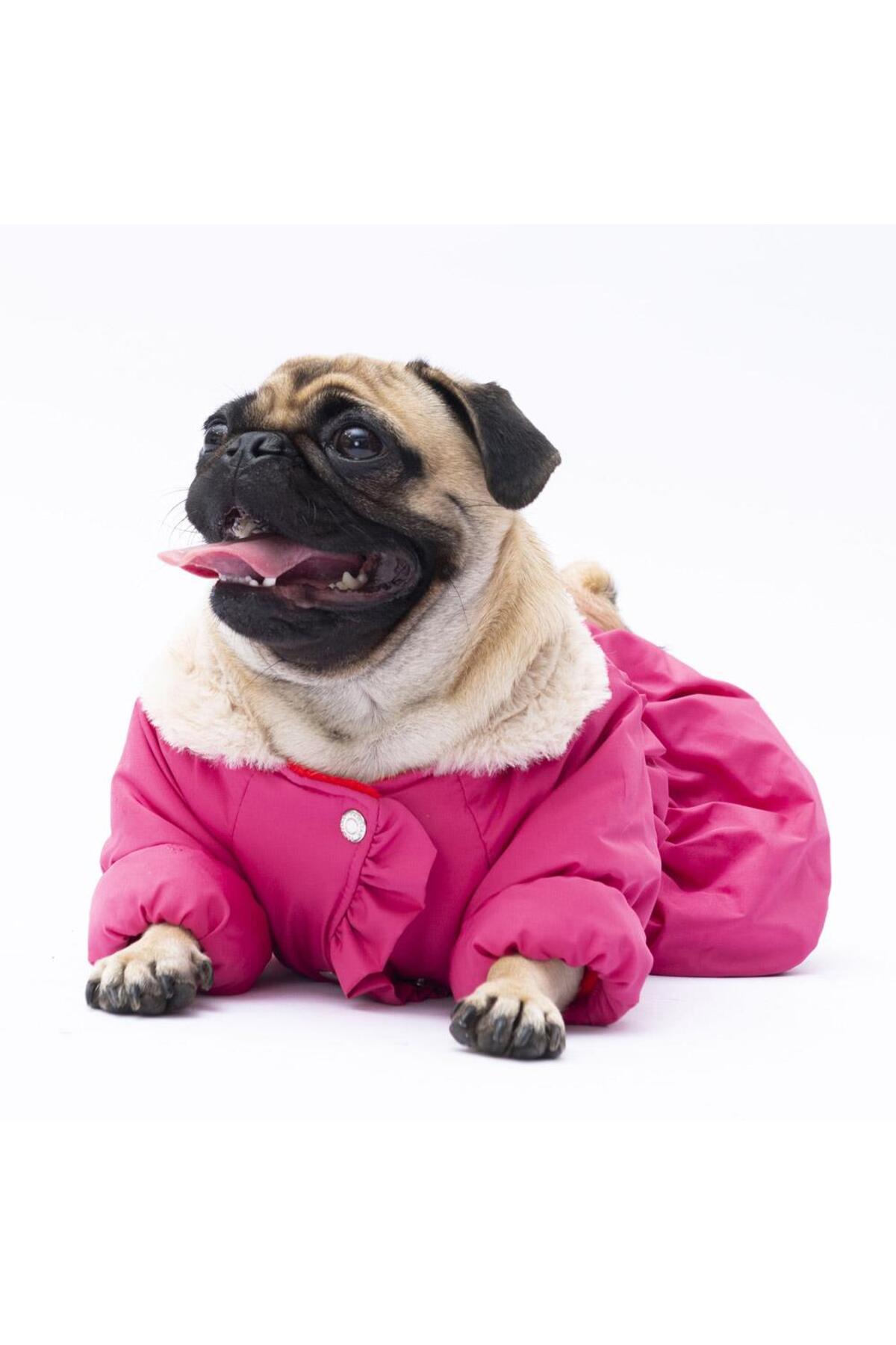 بارانی سگ پاوستار Pawstar مدل Elizabeth، صورتی