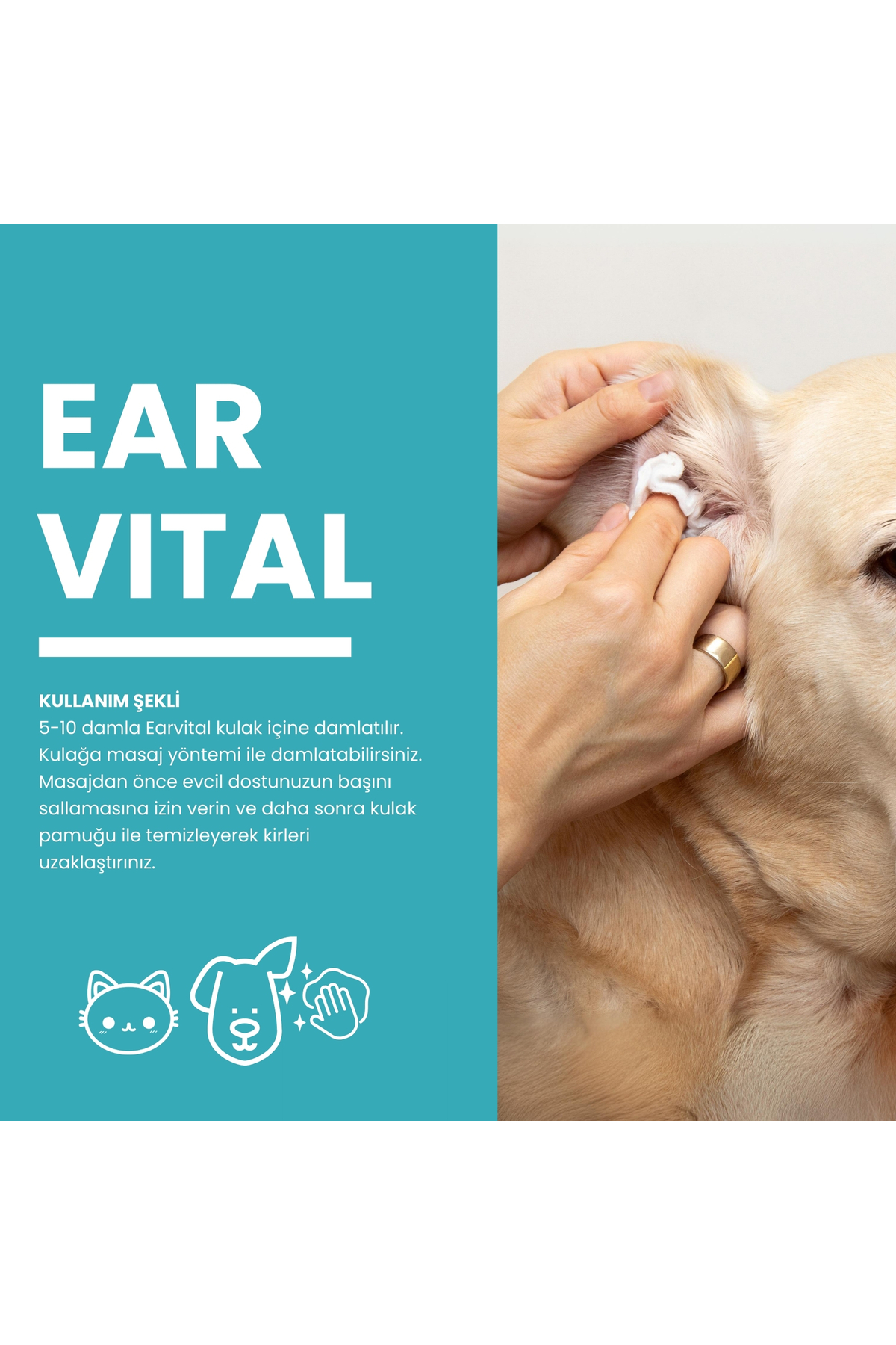 لوسیون پاک‌کننده گوش زوویتال Zoovital Earvital برای گربه و سگ، ۱۵۰ میلی‌لیتر