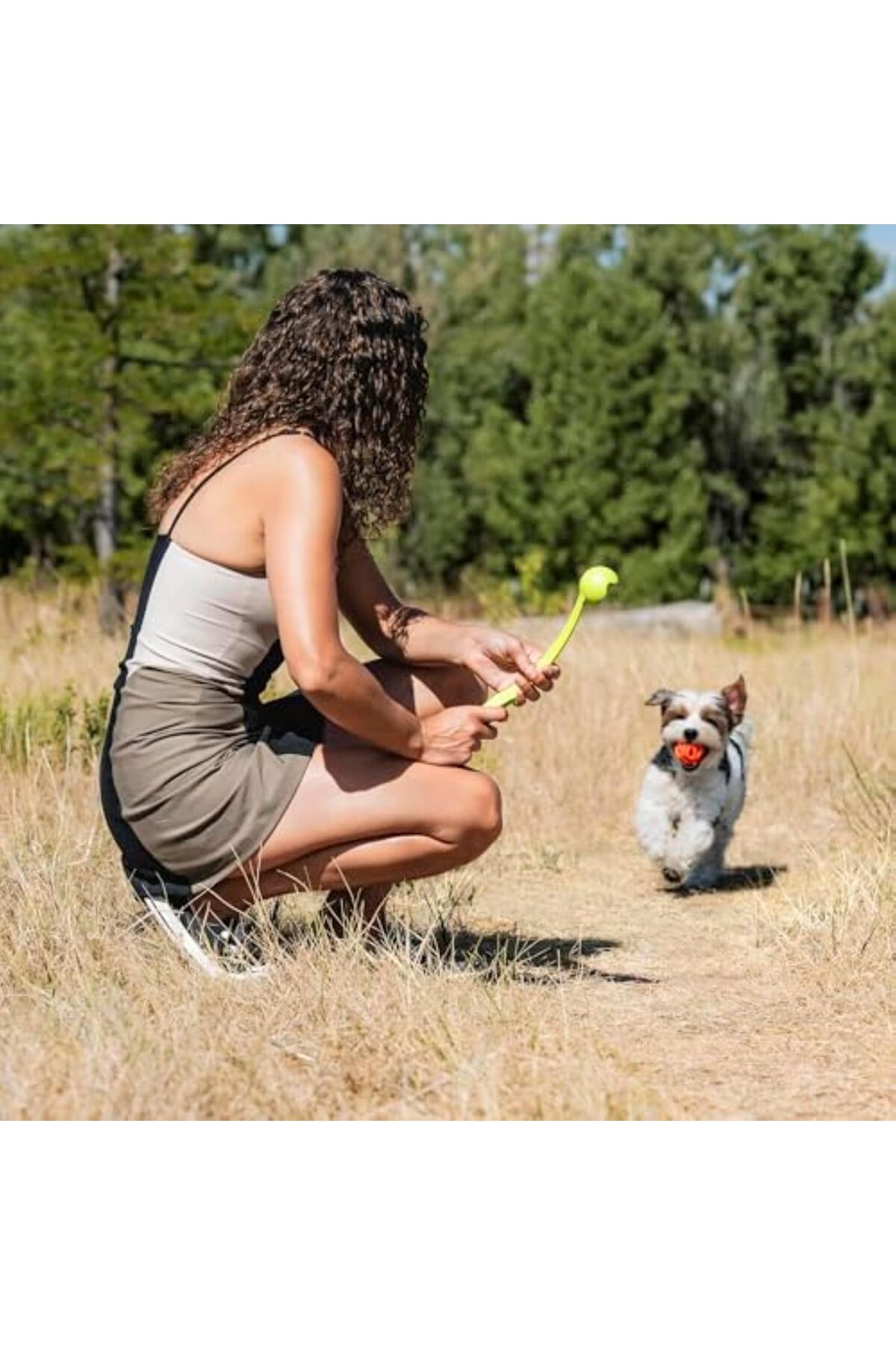 توپ بازی سگ چاکیت Chuckit! (!) Air Fetch Ball، متوسط، قطر ۶٫۴ سانتی‌متر، بسته ۲ عددی چندرنگ