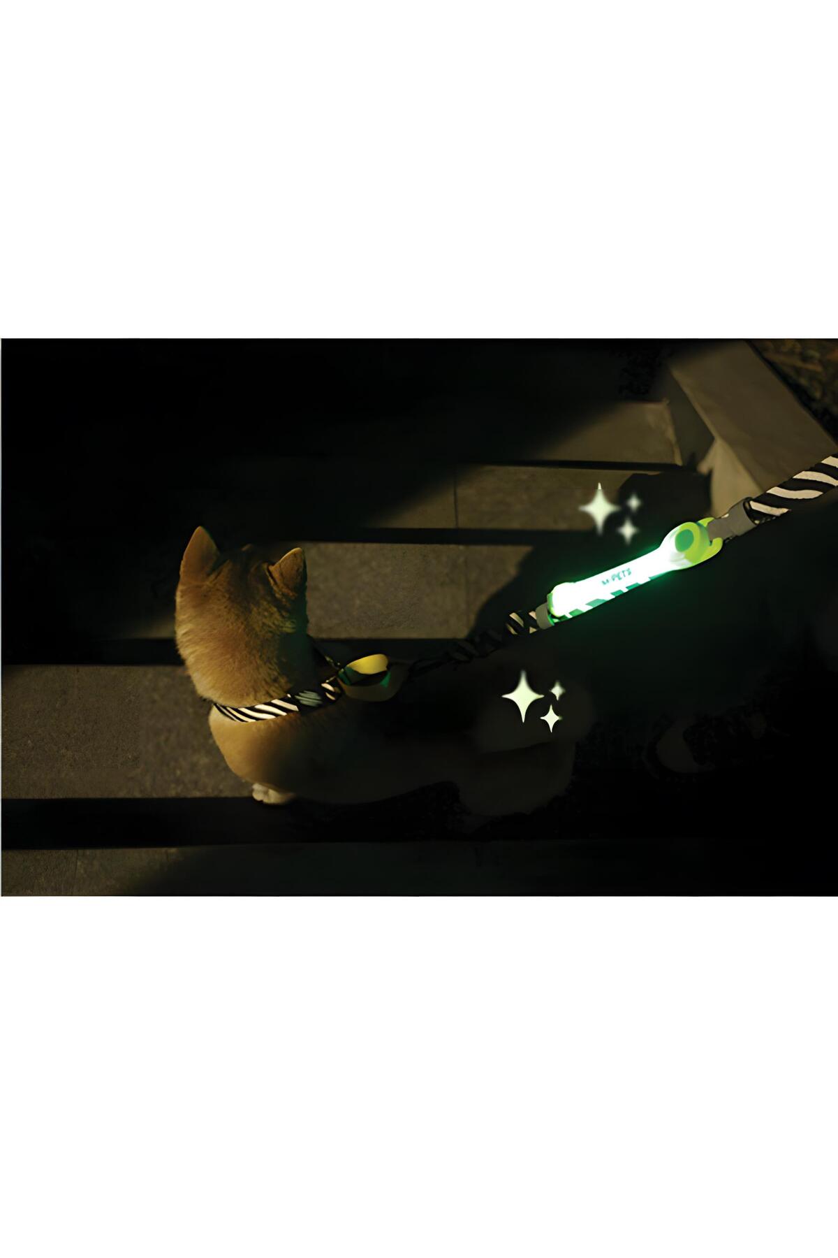 قلاده سگ LED مدل Flash نارنجی ام‌پتس M-PETS