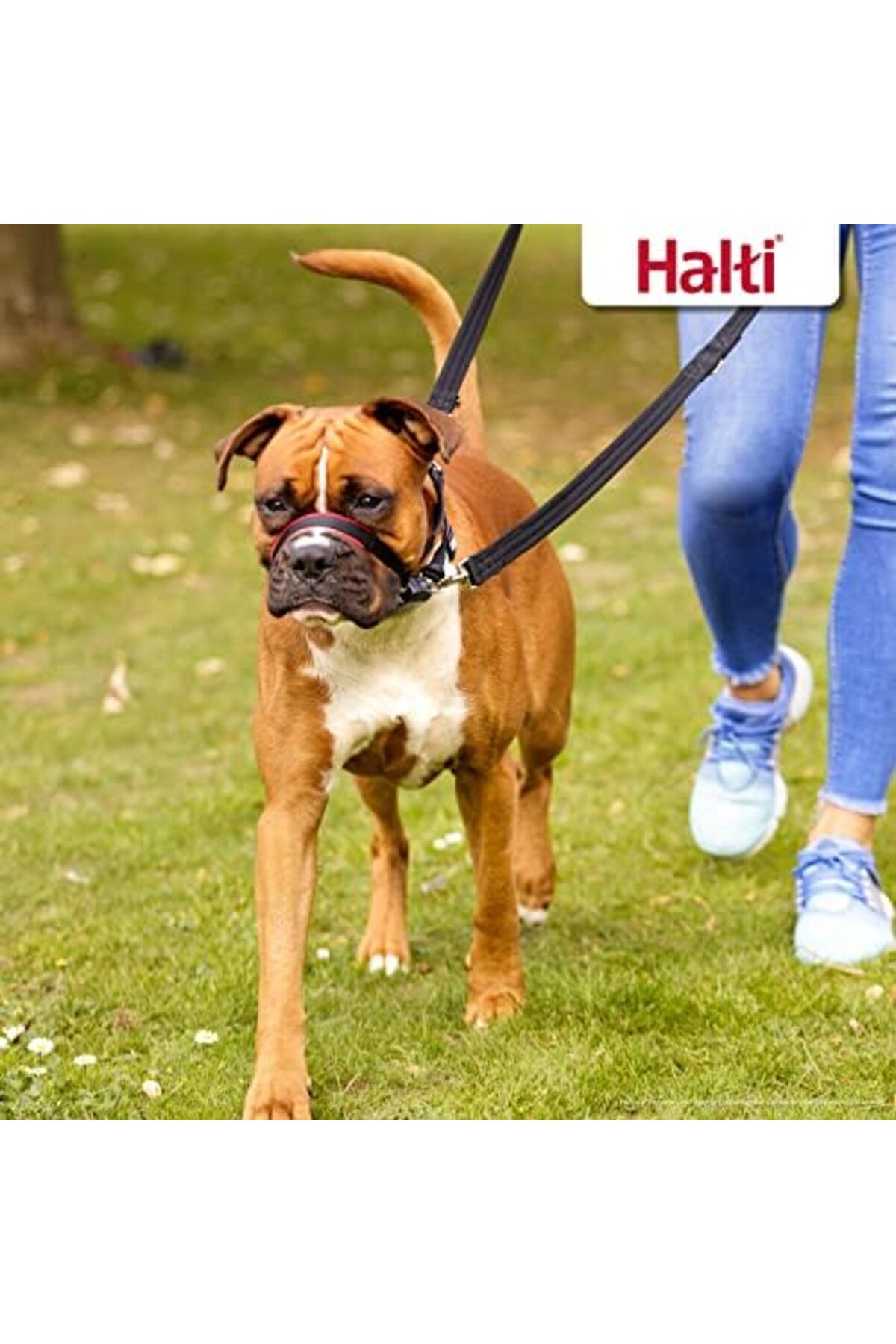 قلاده پوزه‌ای سگ ییلدیزان Yıldızan Halti Optifit، سایز بزرگ، مشکی 1053162