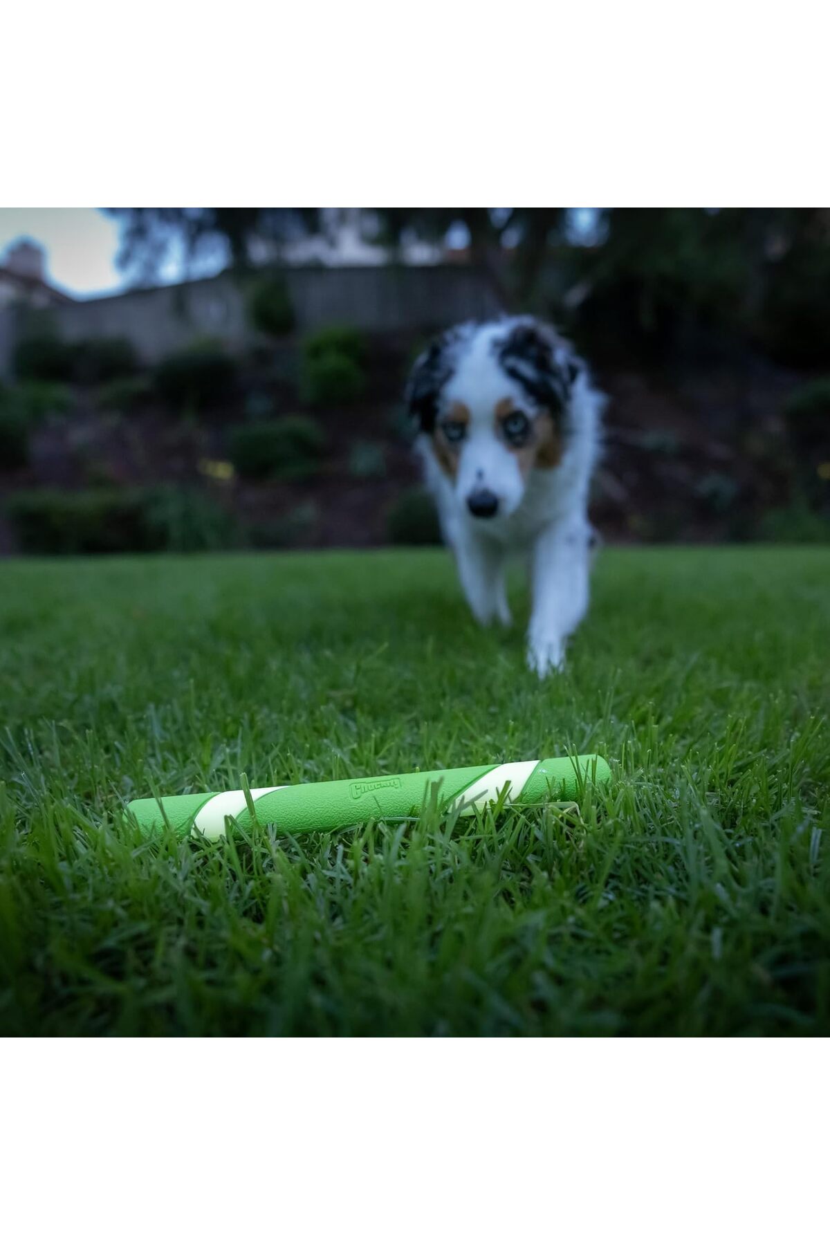 اسباب‌بازی سگ شب‌تاب Max Glow Ultra Fetch Stick چندرنگ