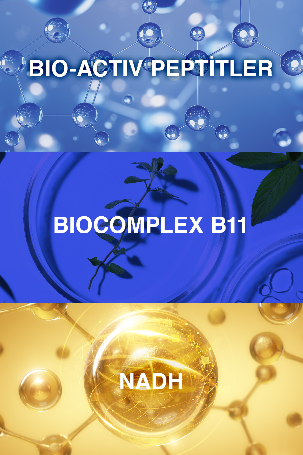 سرم مو ضد ریزش بیوکسین کوانتوم پریمیوم 100 میلی لیتر با حجم و غلظت بالا بیوکسکین Bioxcin