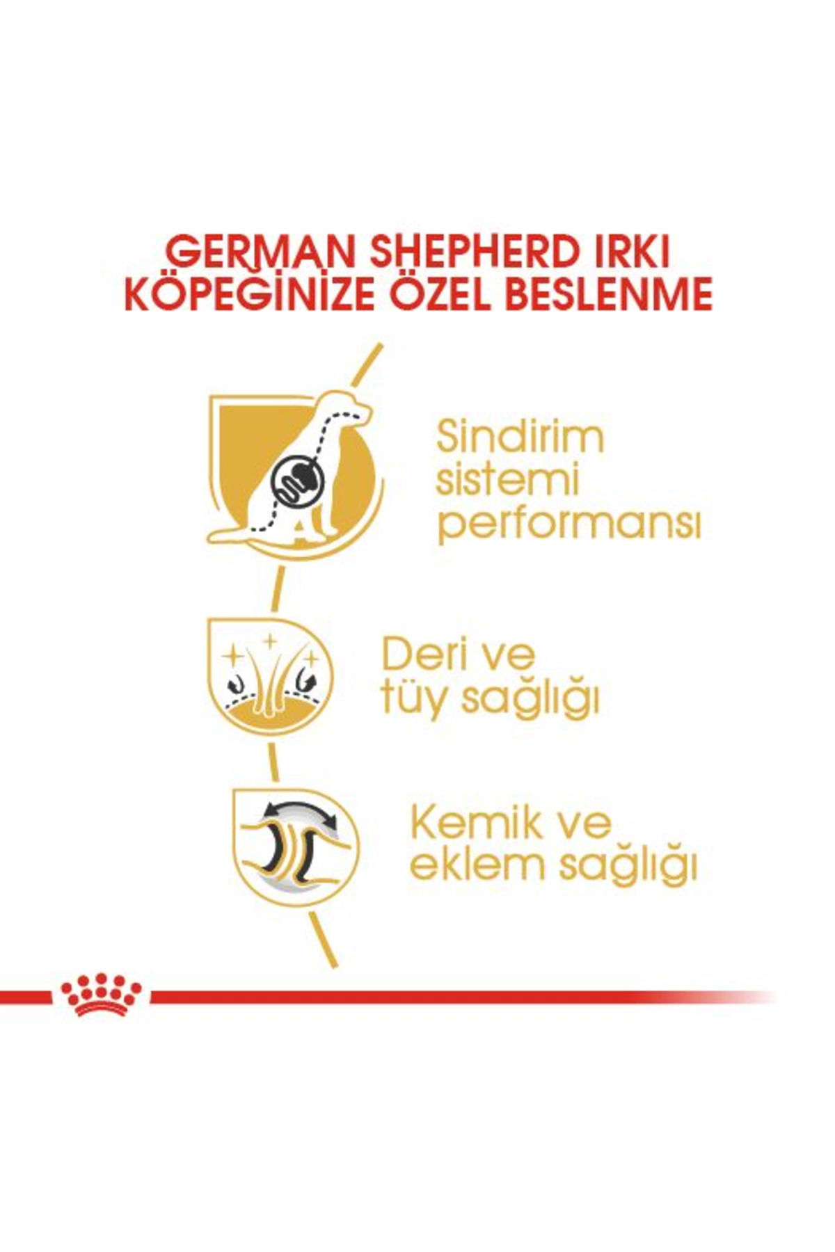 غذای خشک سگ بالغ ژرمن شپرد، طعم مرغ، رویال کنین Royal Canin 11 kg