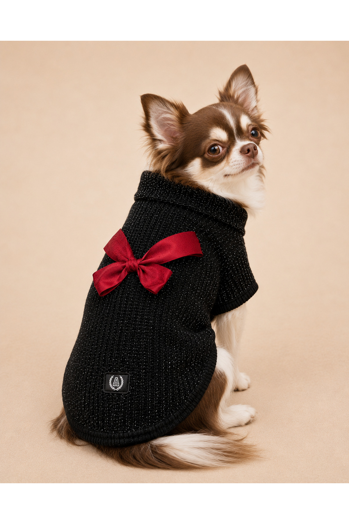 پلیور اکلیلی مشکی سگ آلفاداگ دیزاین Alphadog Design Aristo، مدل aristo26