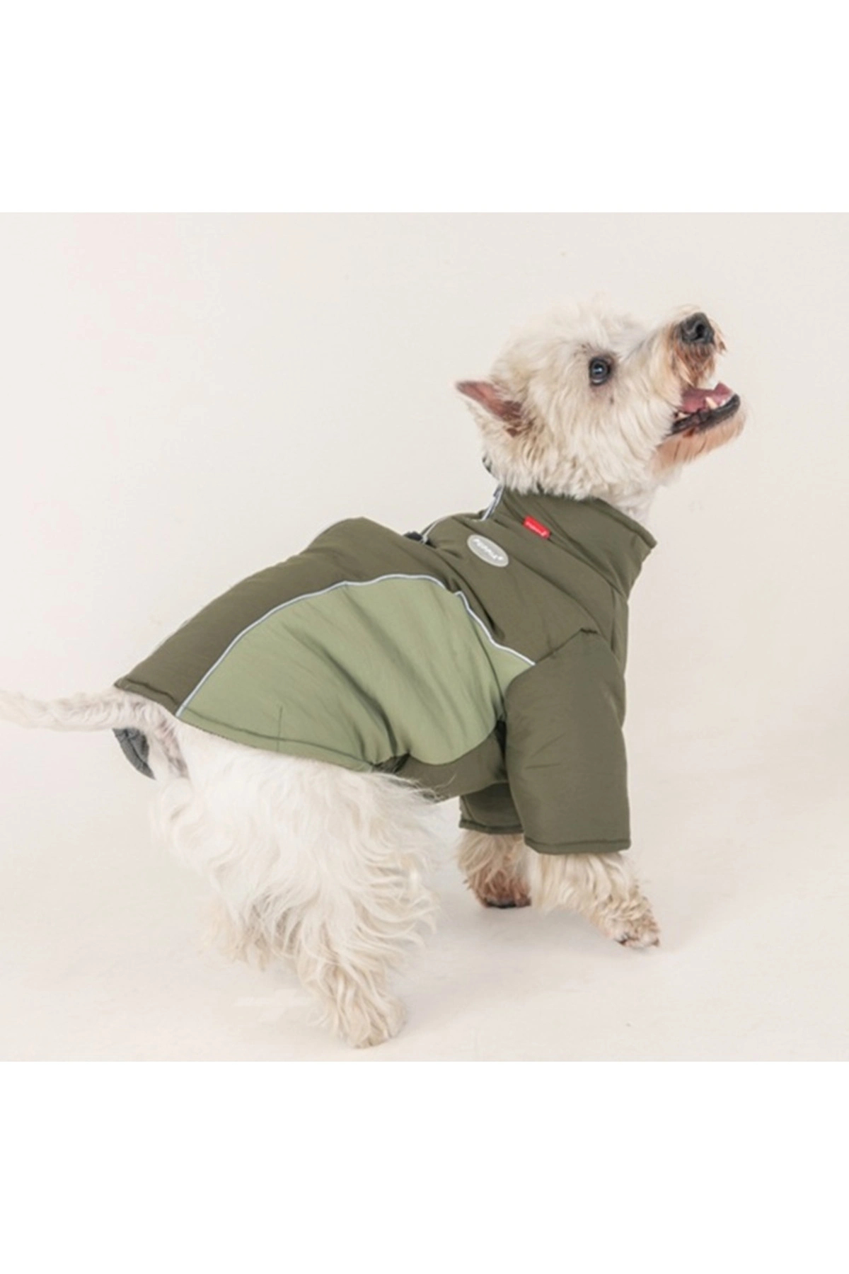 کاپشن سگ خاکی پوپیا Puppia Terrain Active Jacket مدل PAZD-JM2257