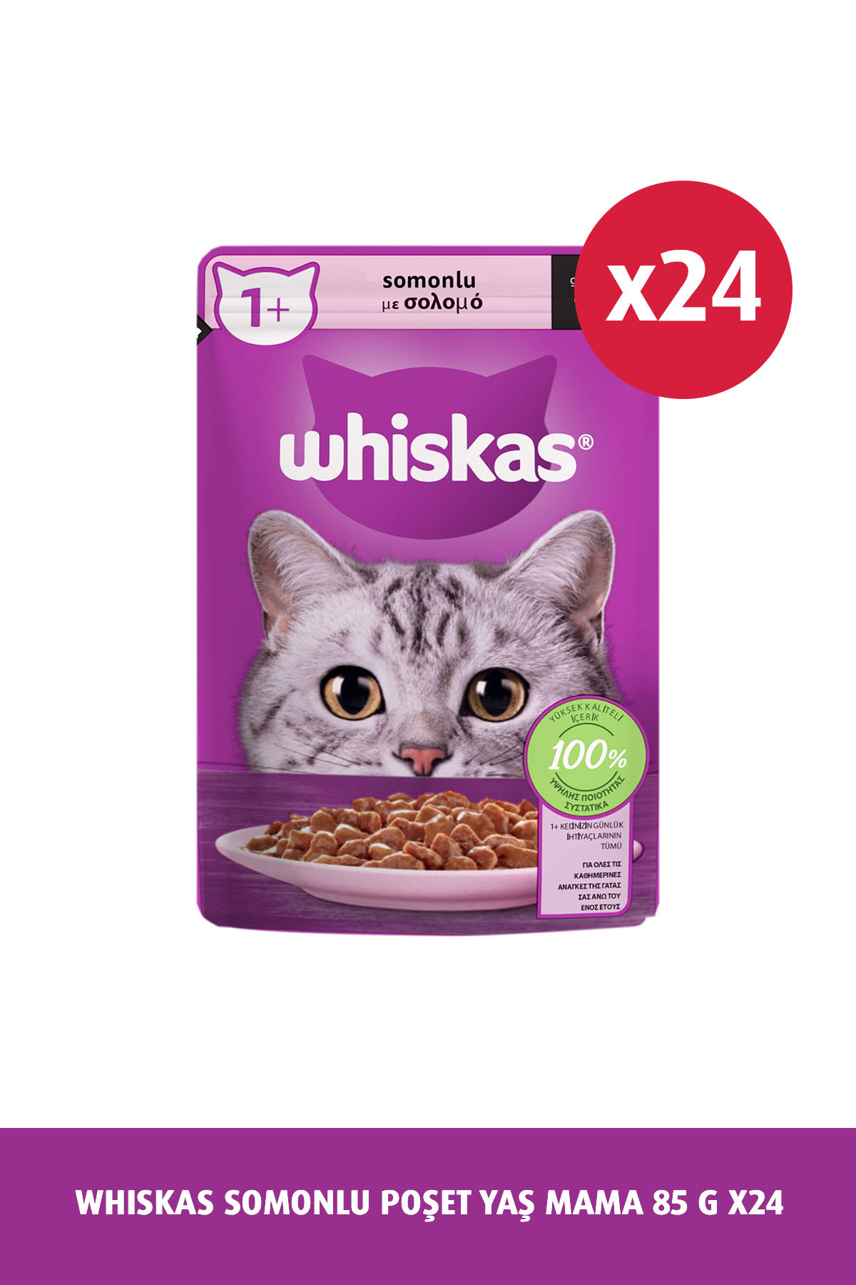 غذای مرطوب گربه ویسکاس Whiskas با طعم سالمون، ۲۴ پوچ ۸۵ گرمی