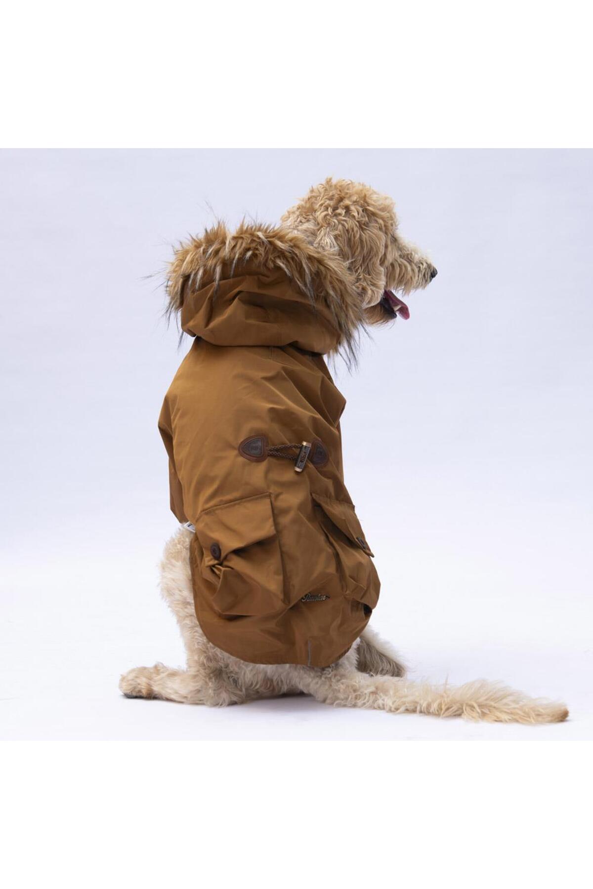کاپشن و بارانی سگ نژاد بزرگ پاواستار Pawstar Camel Charles مدل BPS24-1034، قهوه‌ای