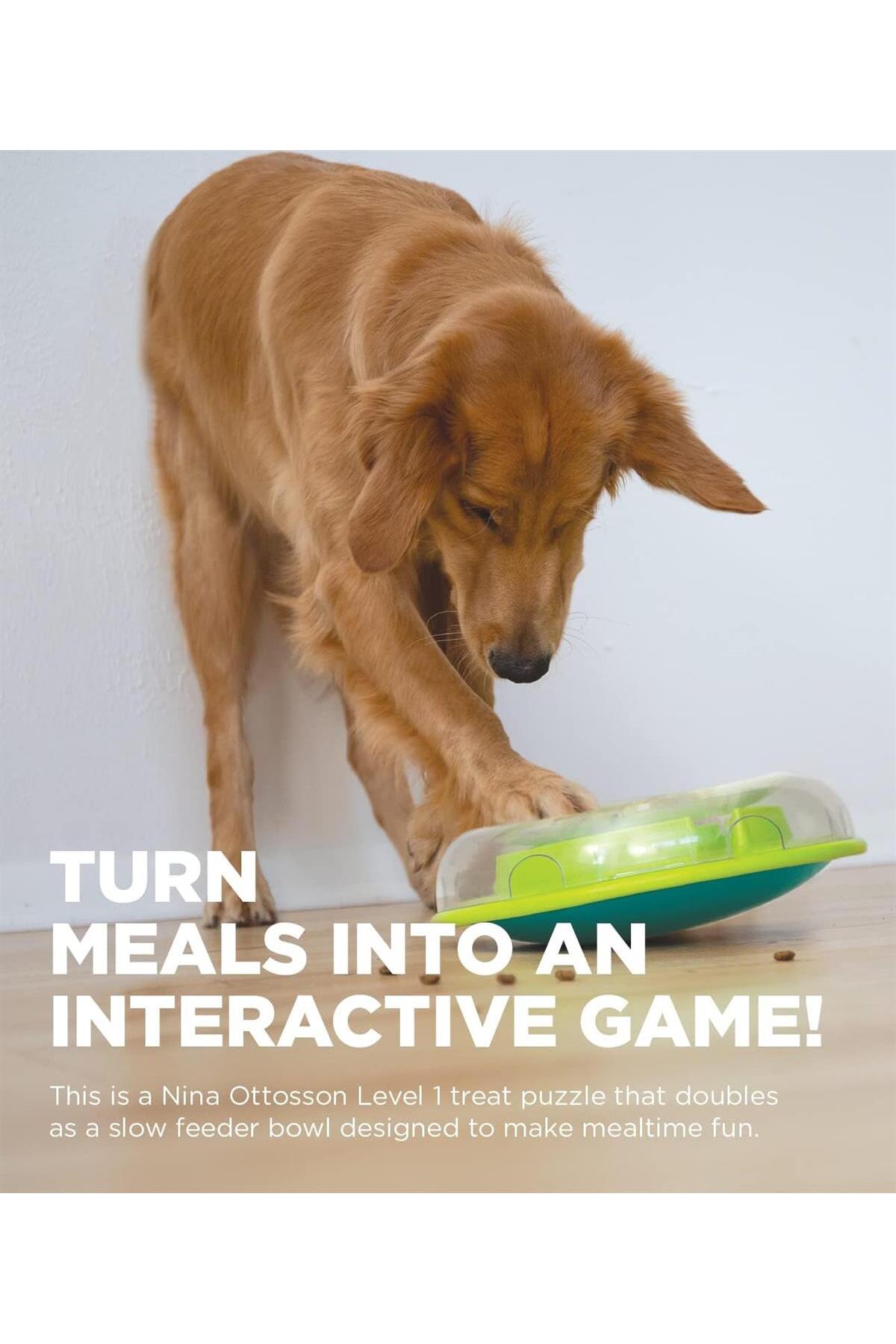 اسباب‌بازی پازلی تشویقی سگ اوت‌وارد هاوند Outward Hound Wobble Bowl، متوسط، بنفش