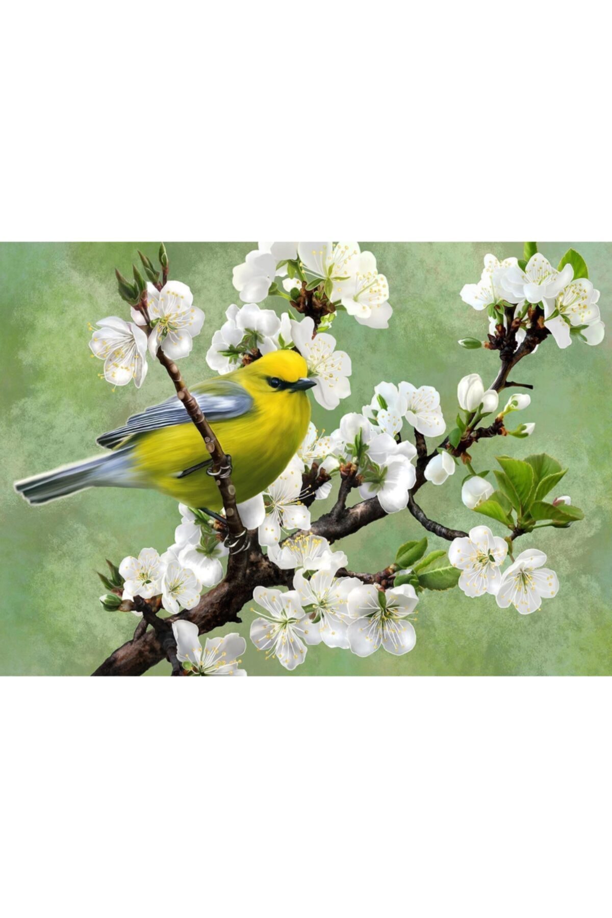 پازل NOVA 1000 PIECE HARBINGER OF SPRING PUZZLE از ترکیه Nova Puzzle