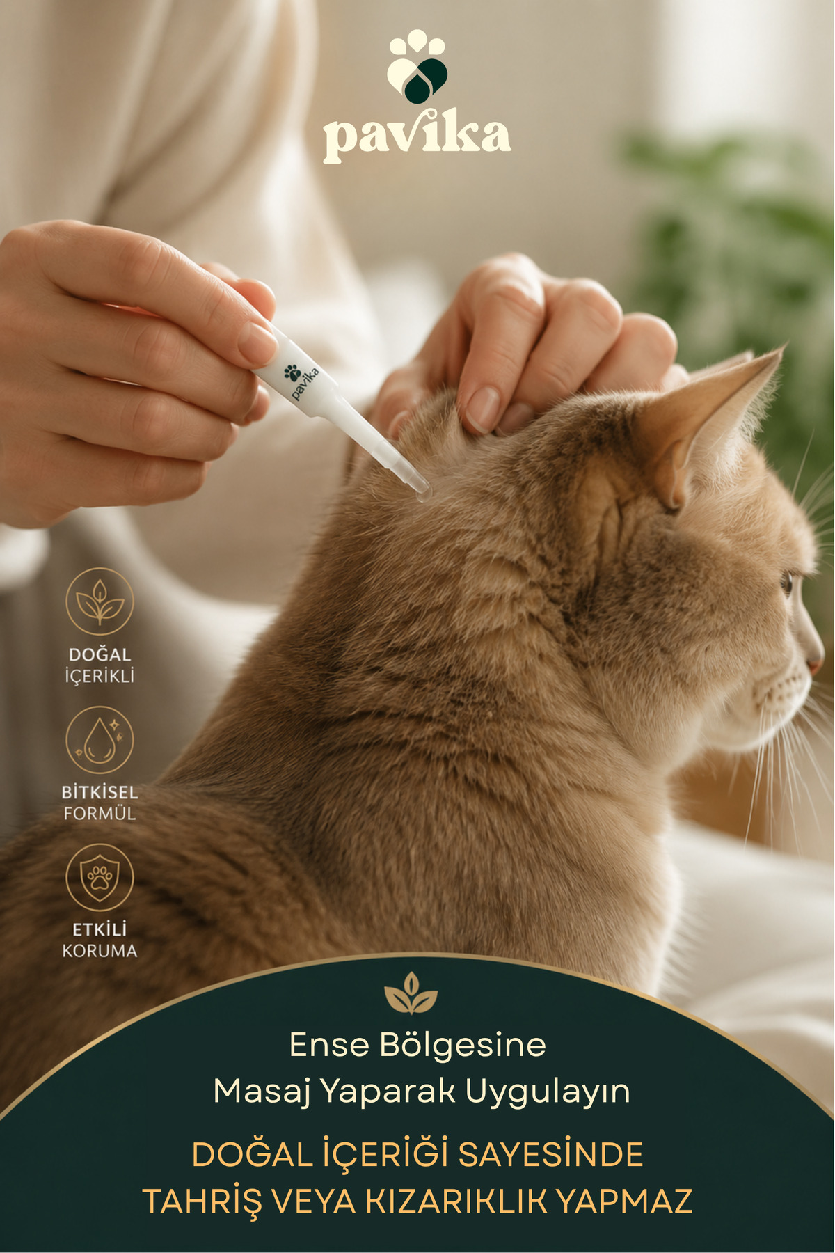 قطره پوستی پشت گردن گربه پاویکا Pavika مدل CatSpotOn، گیاهی، ۵×۱ میلی‌لیتر