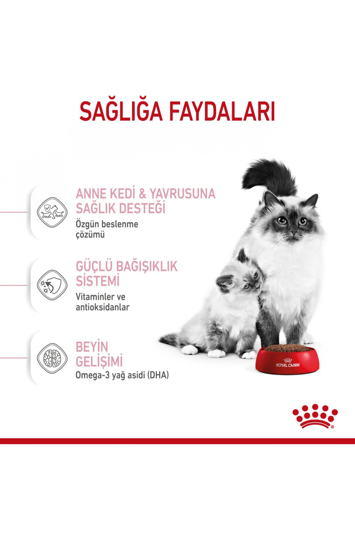 غذای خشک گربه رویال کنین Royal Canin Mother & Babycat، ۲ کیلوگرم