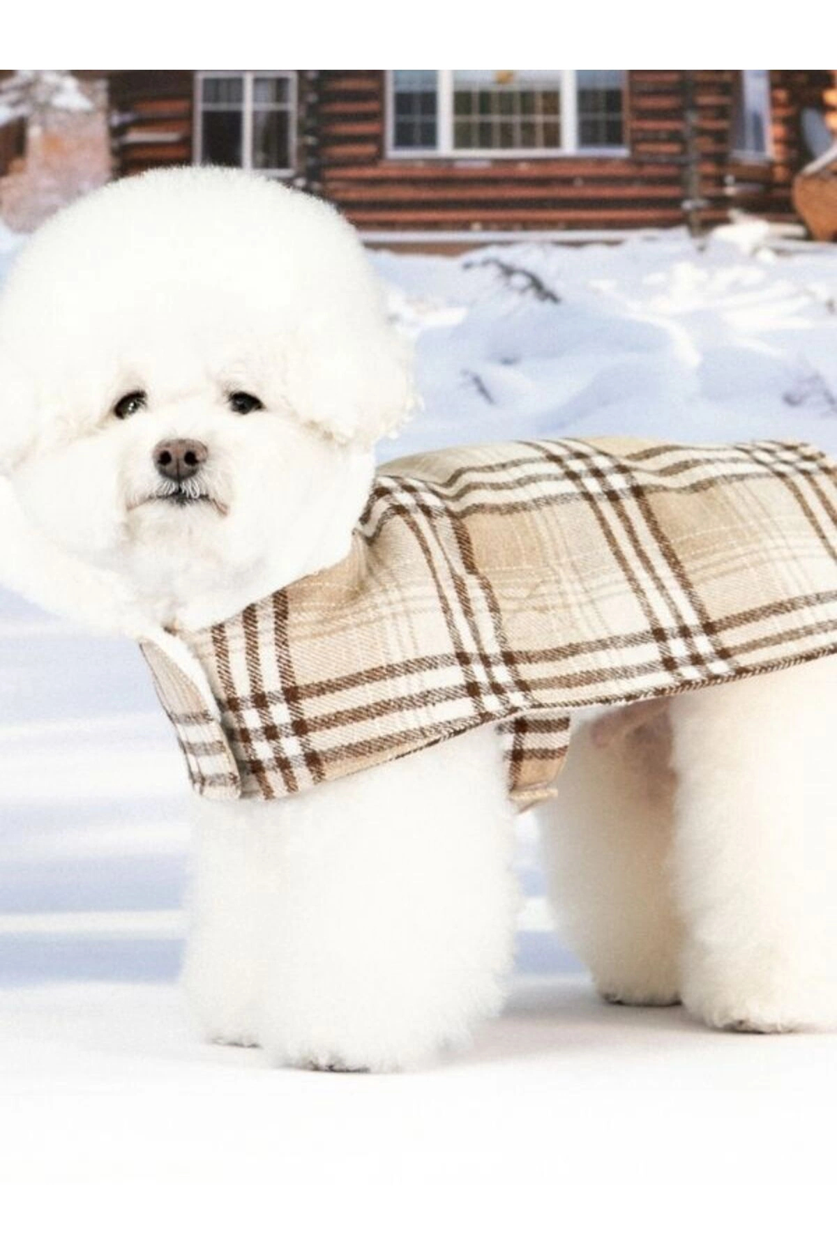 کاپشن سگ پوپیا Puppia Windsor Coat، کد PAZD-CA2259 بژ