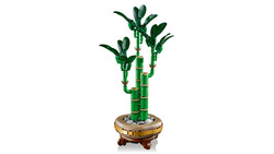 مجموعه ساختنی بامبو شانس لگو LEGO سری بوتانیکالز Botanicals مدل 10344، ۳۲۵ قطعه، ارتفاع ۲۹ سانتی‌متر