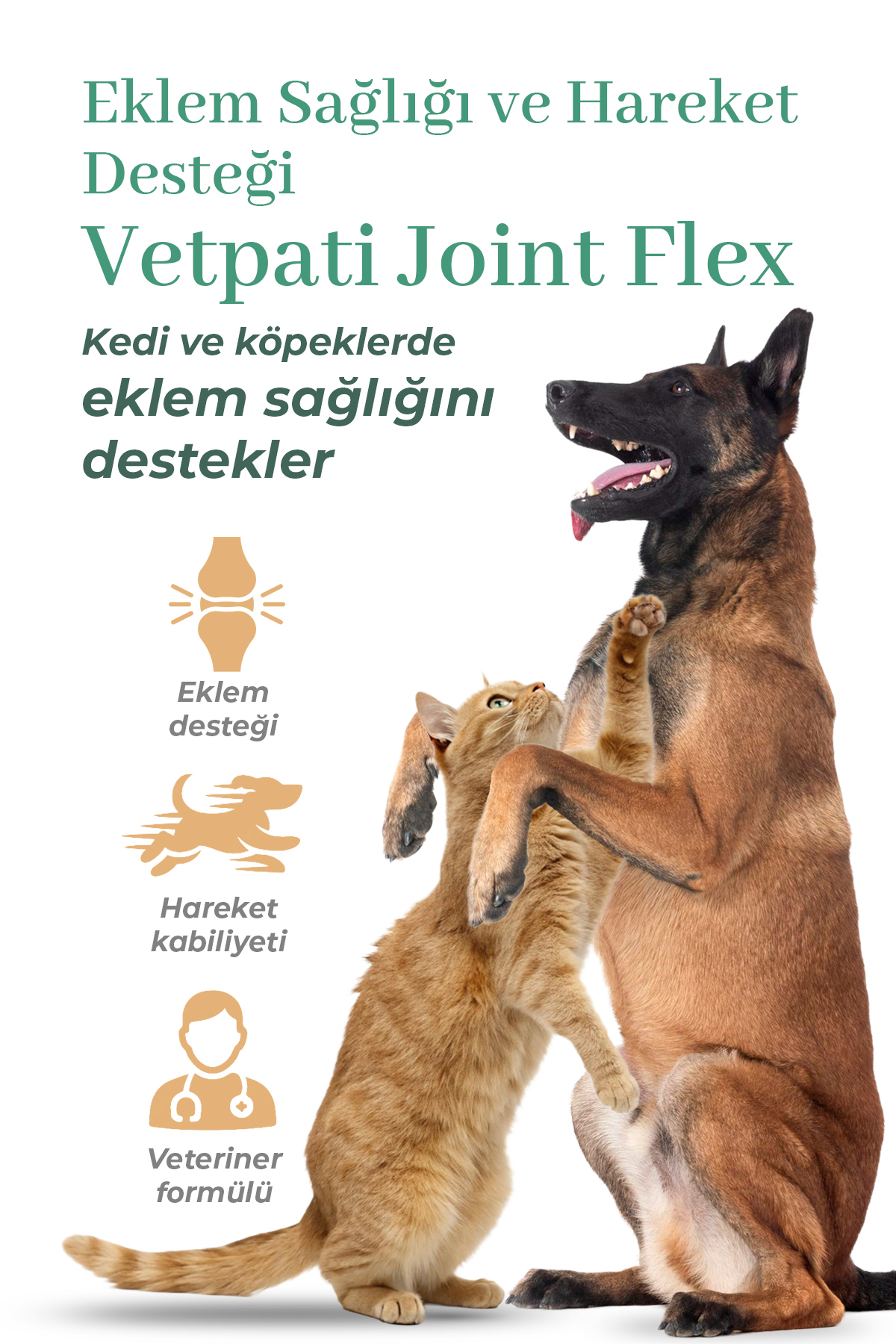 مکمل مفاصل گربه و سگ وت‌پاتی Vetpati Joint Flex با گلوکزامین، کندرویتین، MSM و کلاژن