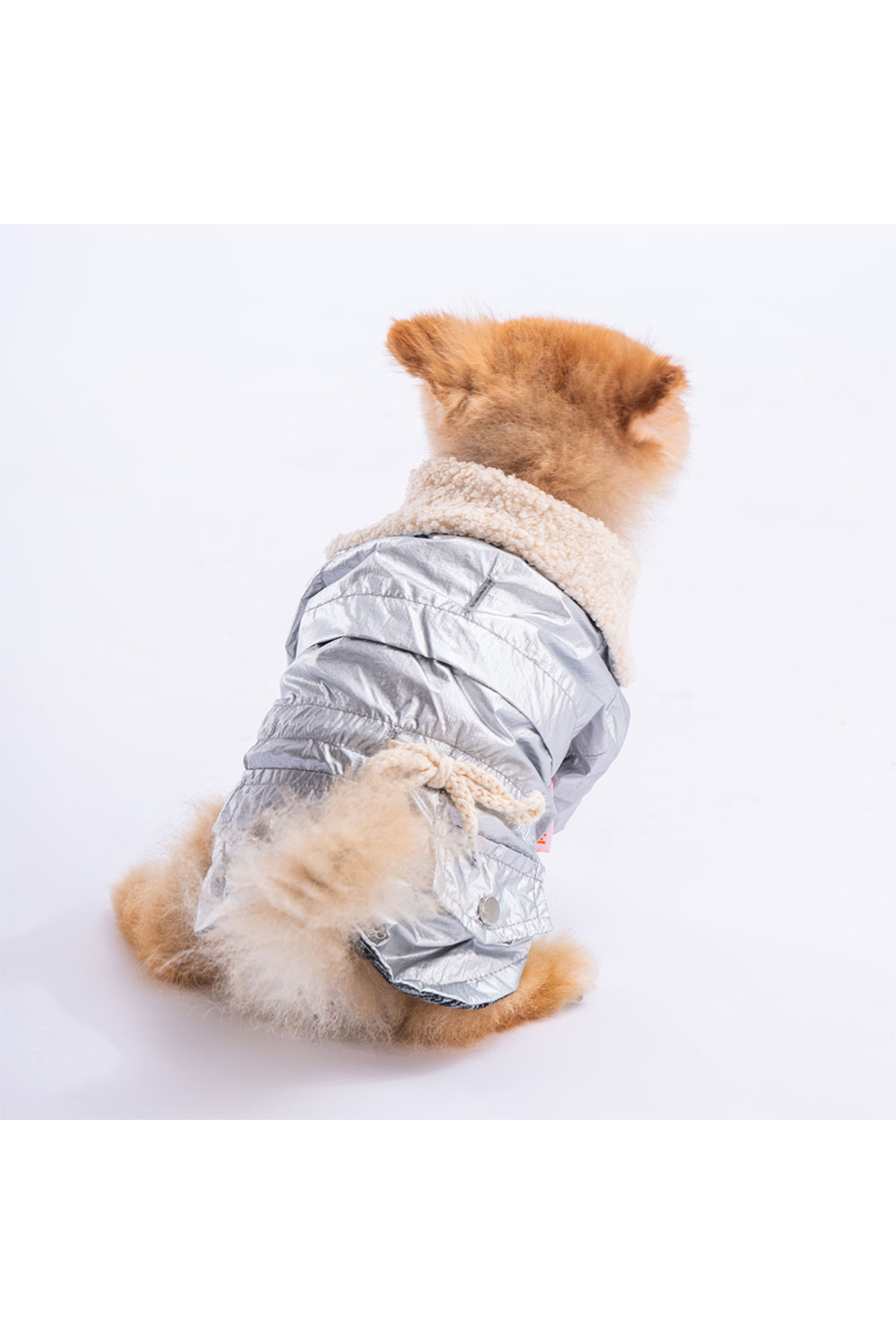 بارانی سگ پاوستار Pawstar مدل B2350، نقره‌ای