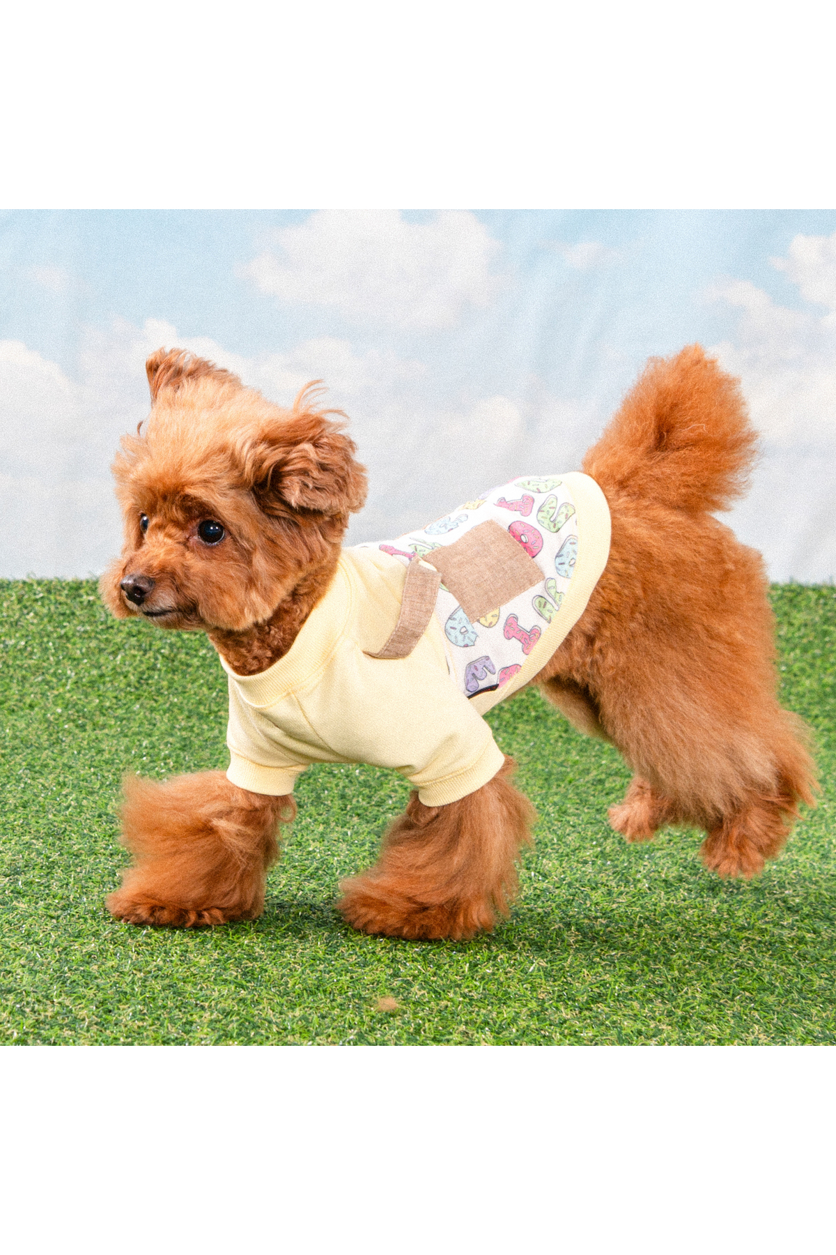 لباس سگ بنددار پوپیا Puppia Maisy زرد