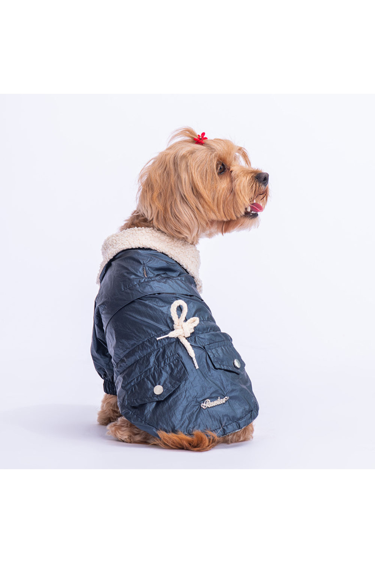 بارانی سگ پاوستار Pawstar مدل Brillante، سرمه‌ای
