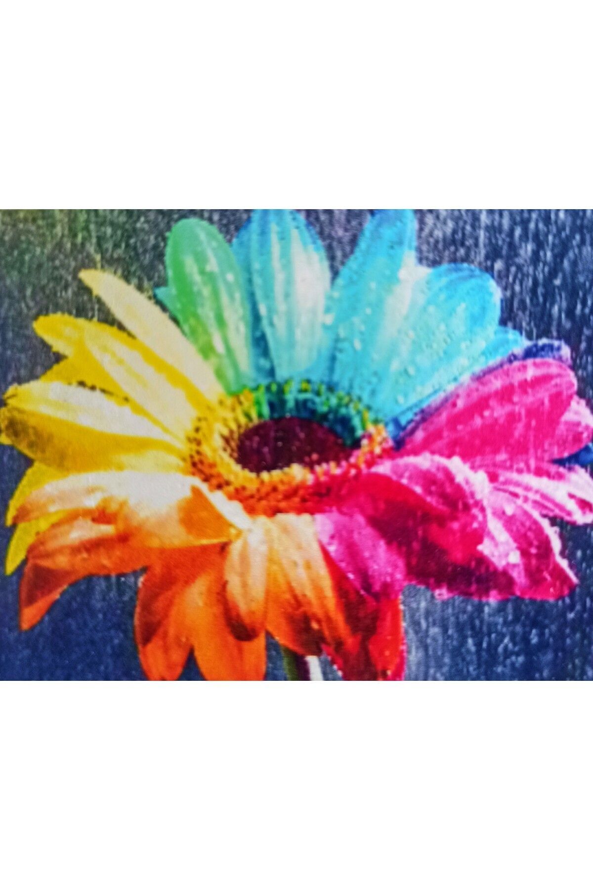 پازل ملیله مهره دار 5 بعدی سنگ موزاییک الماس تصویر کمیاب 30X40 تمام منجوق از ترکیه MENTAŞ