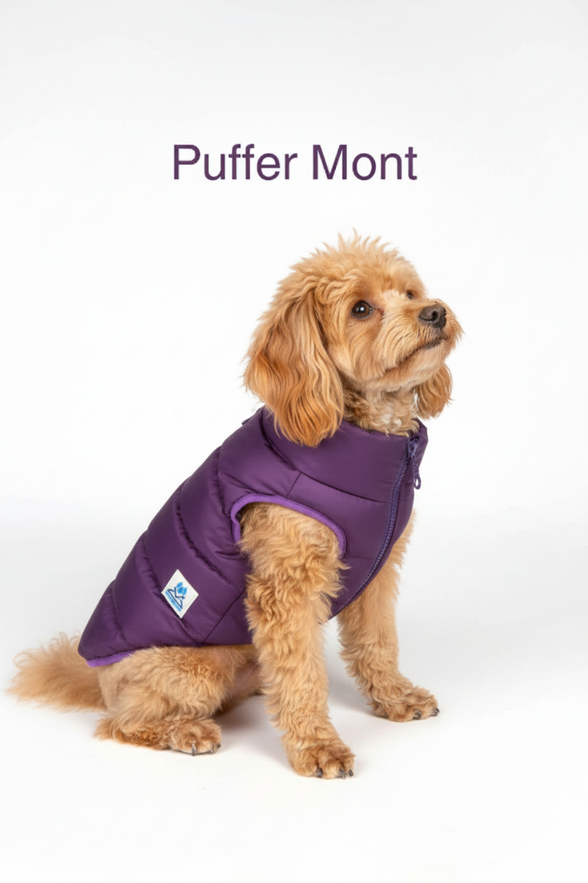 کاپشن پافر ضدآب سگ سالیا استور Salya Store مدل Puffer-Mont، بنفش
