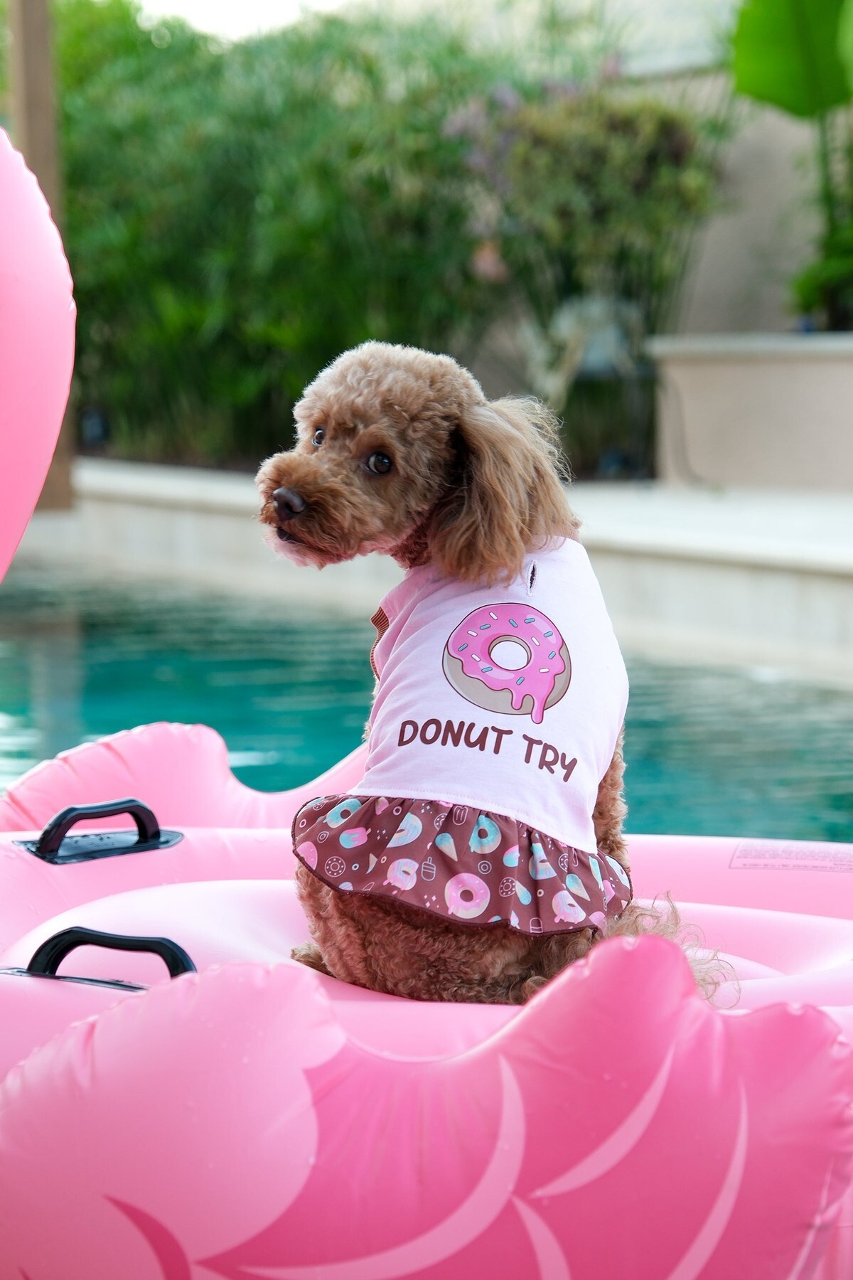 لباس سگ نخی صورتی فورامور fouramour مدل Donut Try