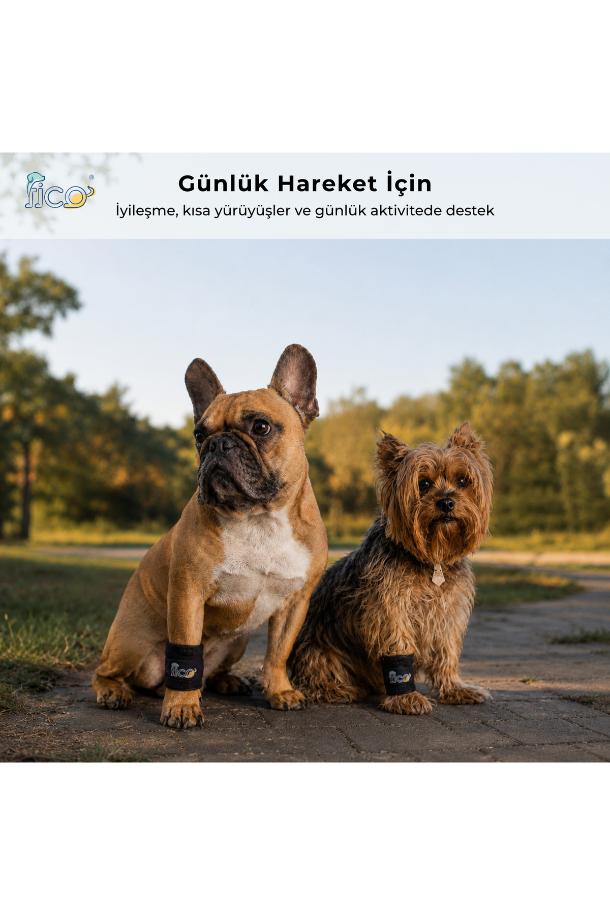 مچ‌بند حمایتی پای جلویی سگ فیکو پتس Fico Pets FLBL، آتل‌دار، سرمه‌ای
