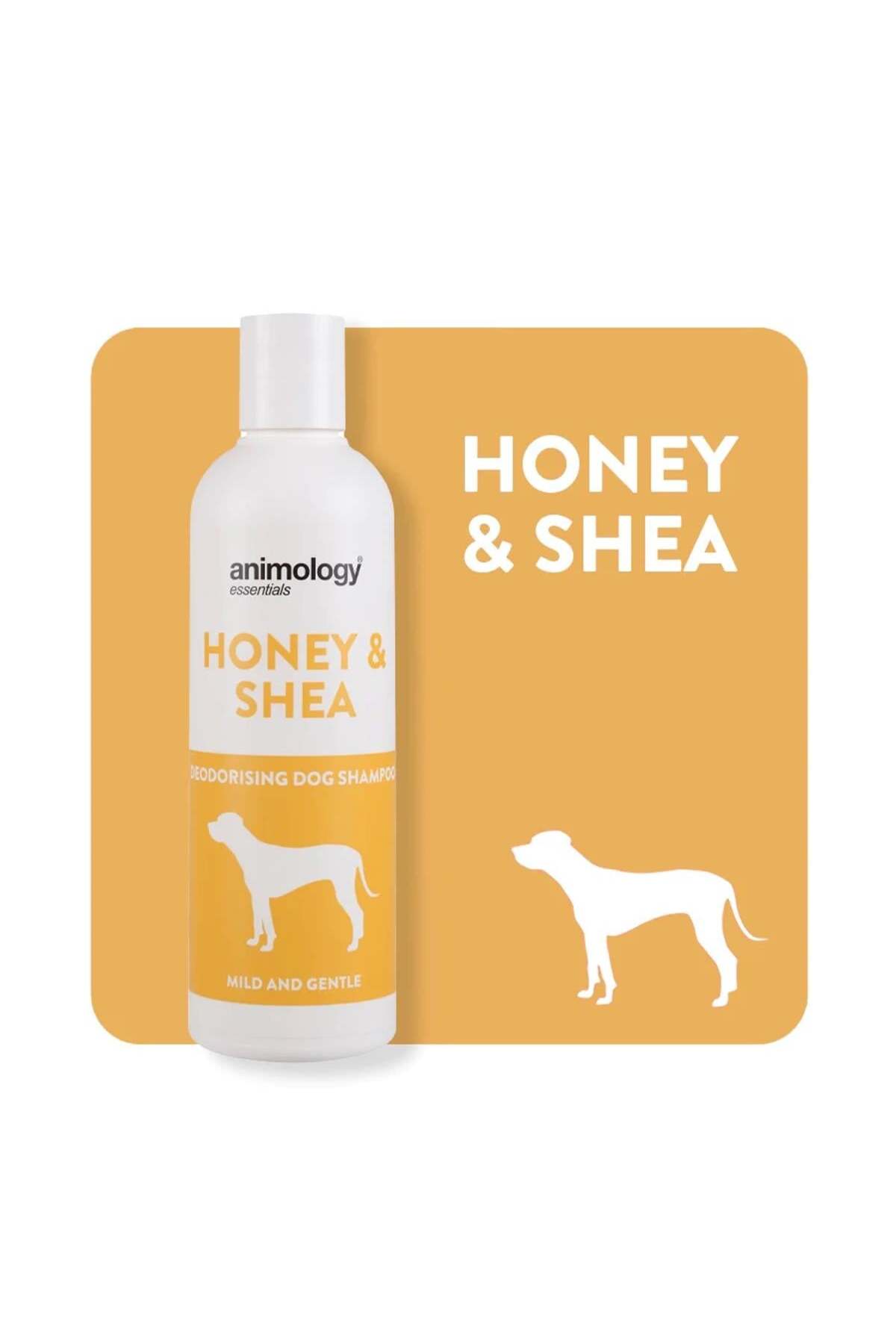 شامپو سگ انیمالوجی Animology Essentials Honey & Shea، ۲۵۰ میلی‌لیتر، کد EHSSH250A